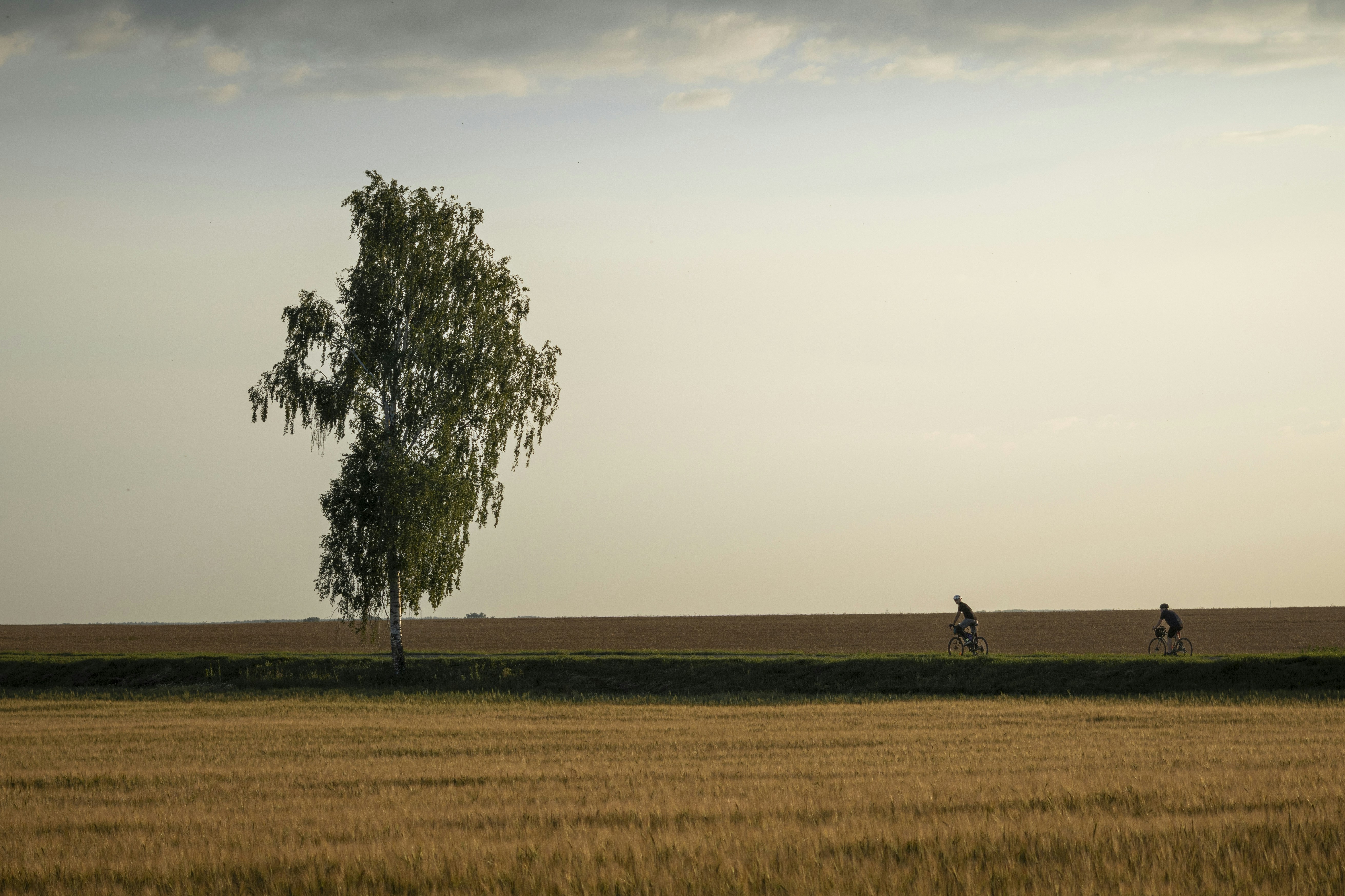 a couple of people riding bikes down a dirt road