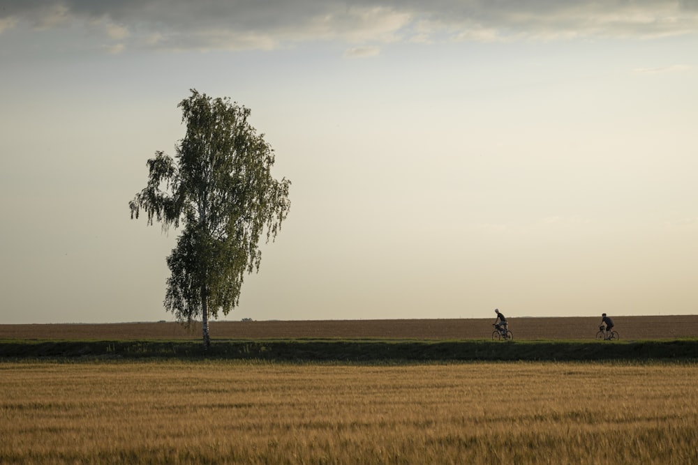 a couple of people riding bikes down a dirt road