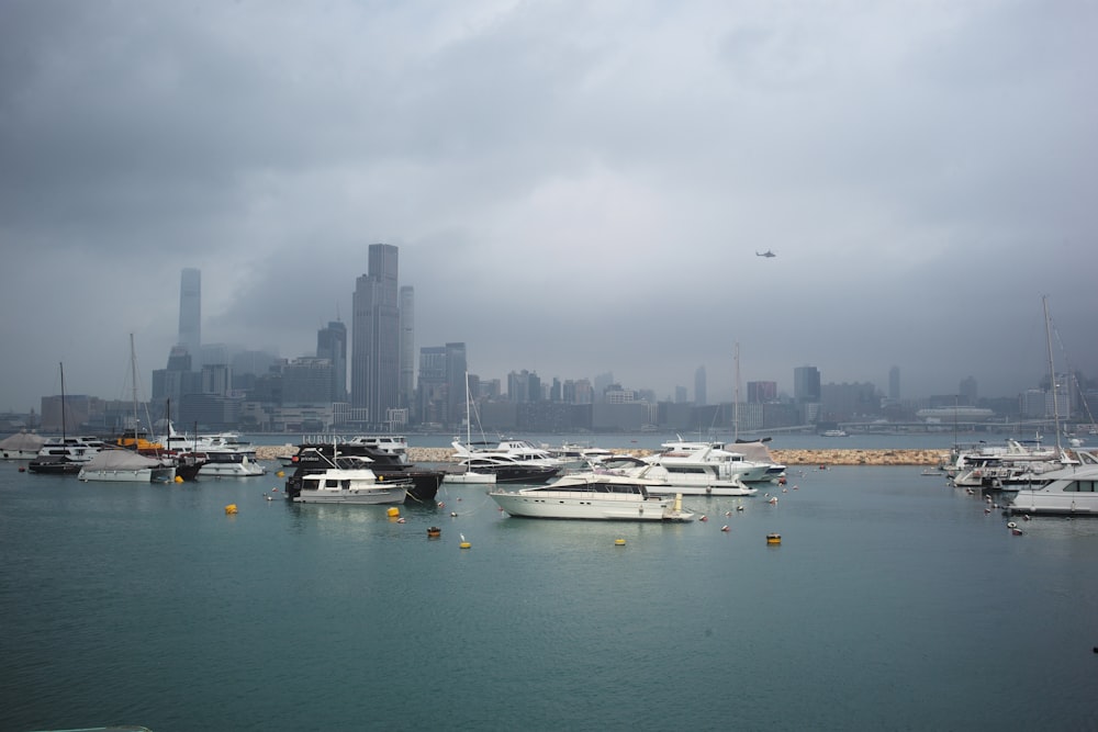 Ein Hafen voller Boote unter einem bewölkten Himmel