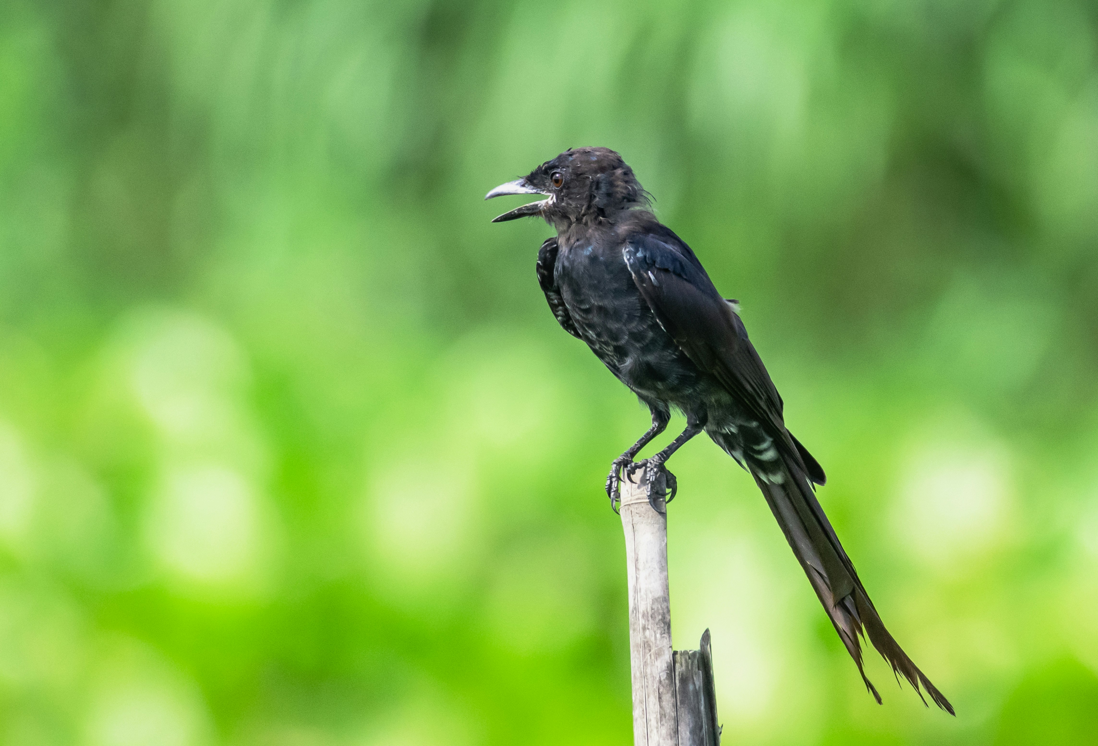 Photo by mhphotography13