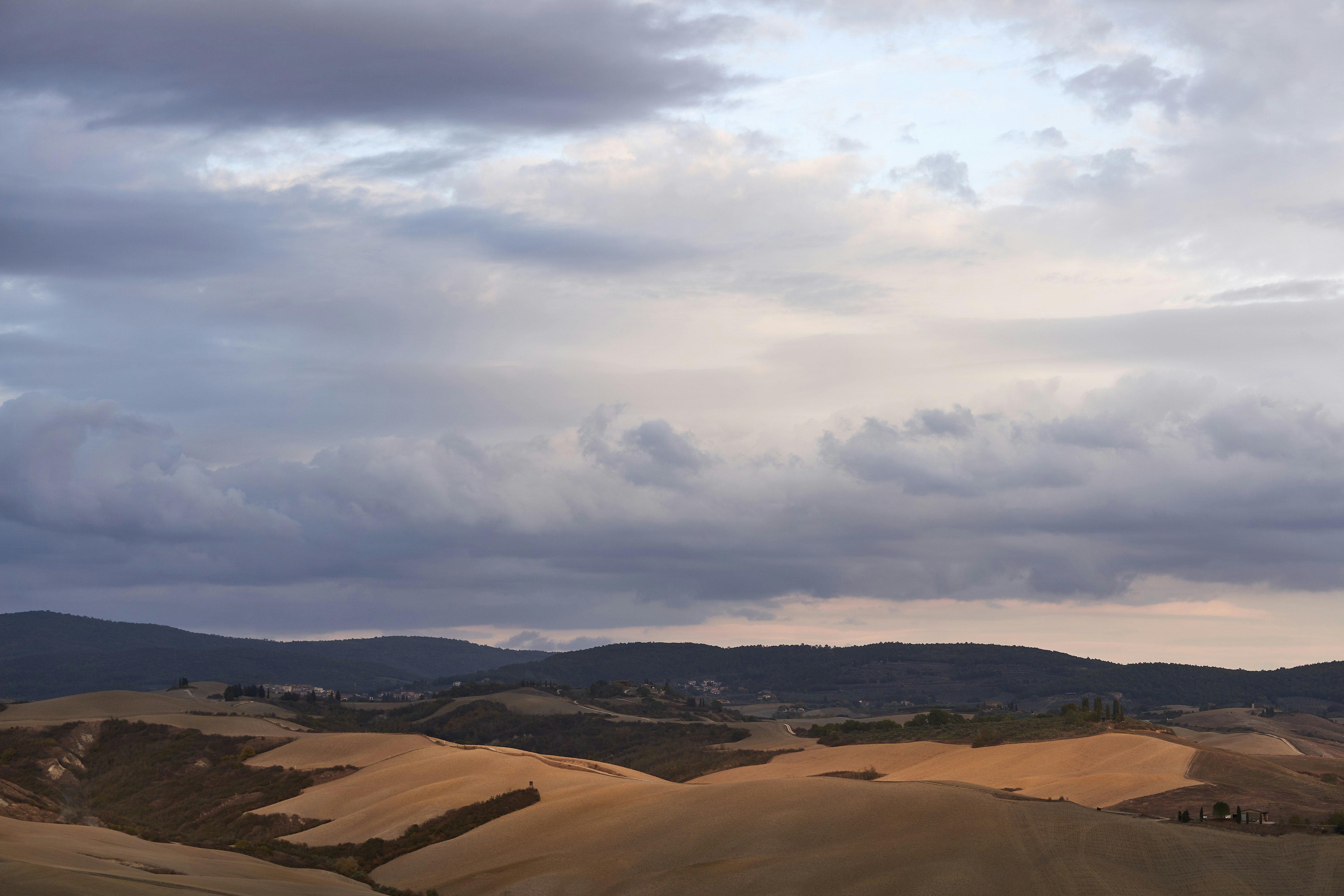 Photo by wolfgang_hasselmann