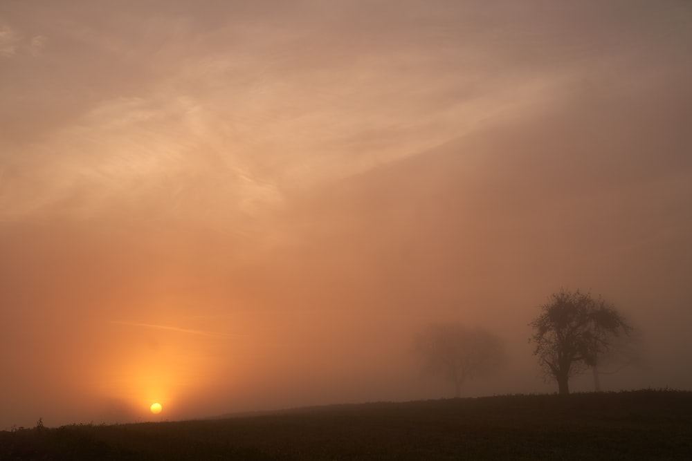 the sun is setting over a foggy field