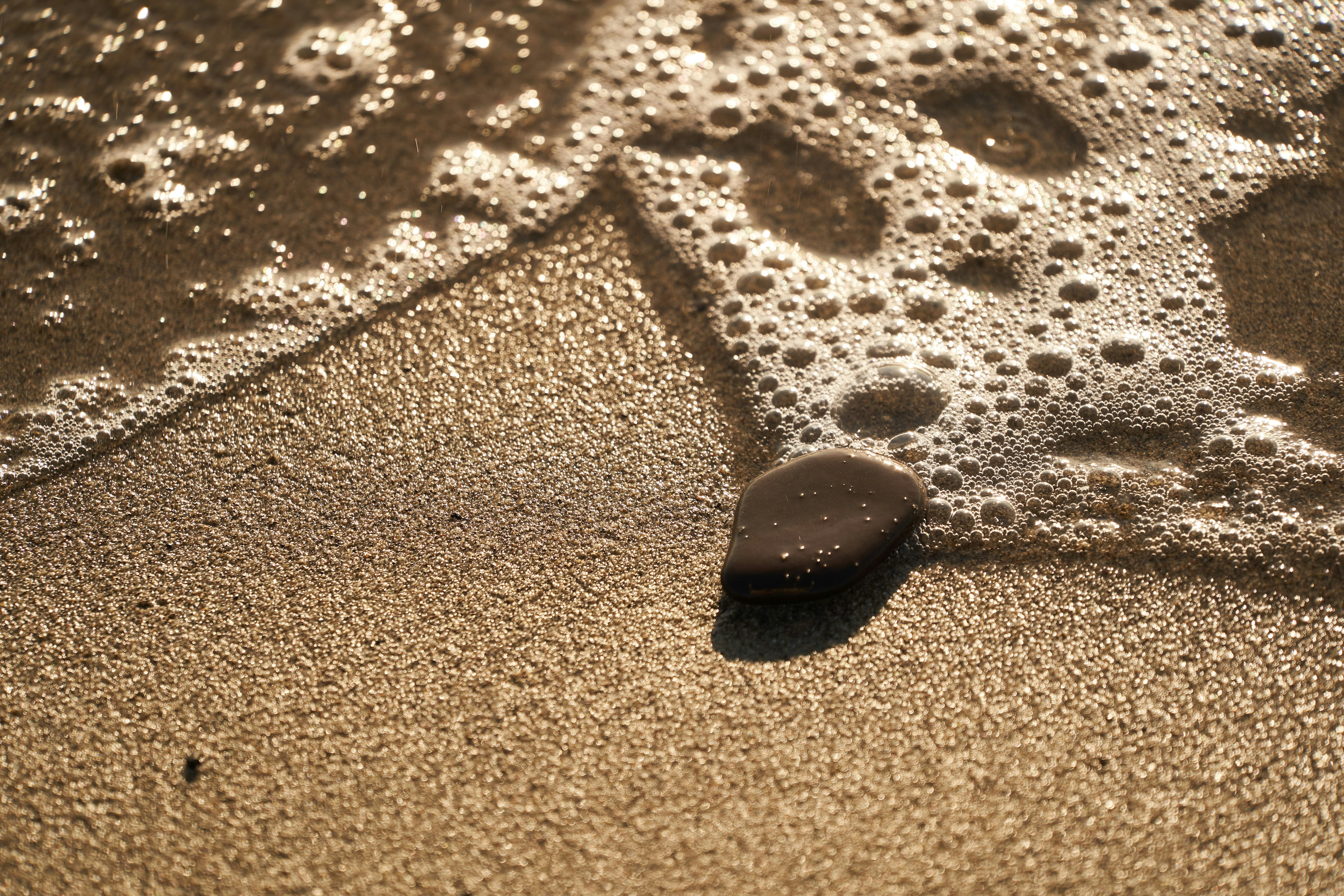 Photo by wolfgang_hasselmann