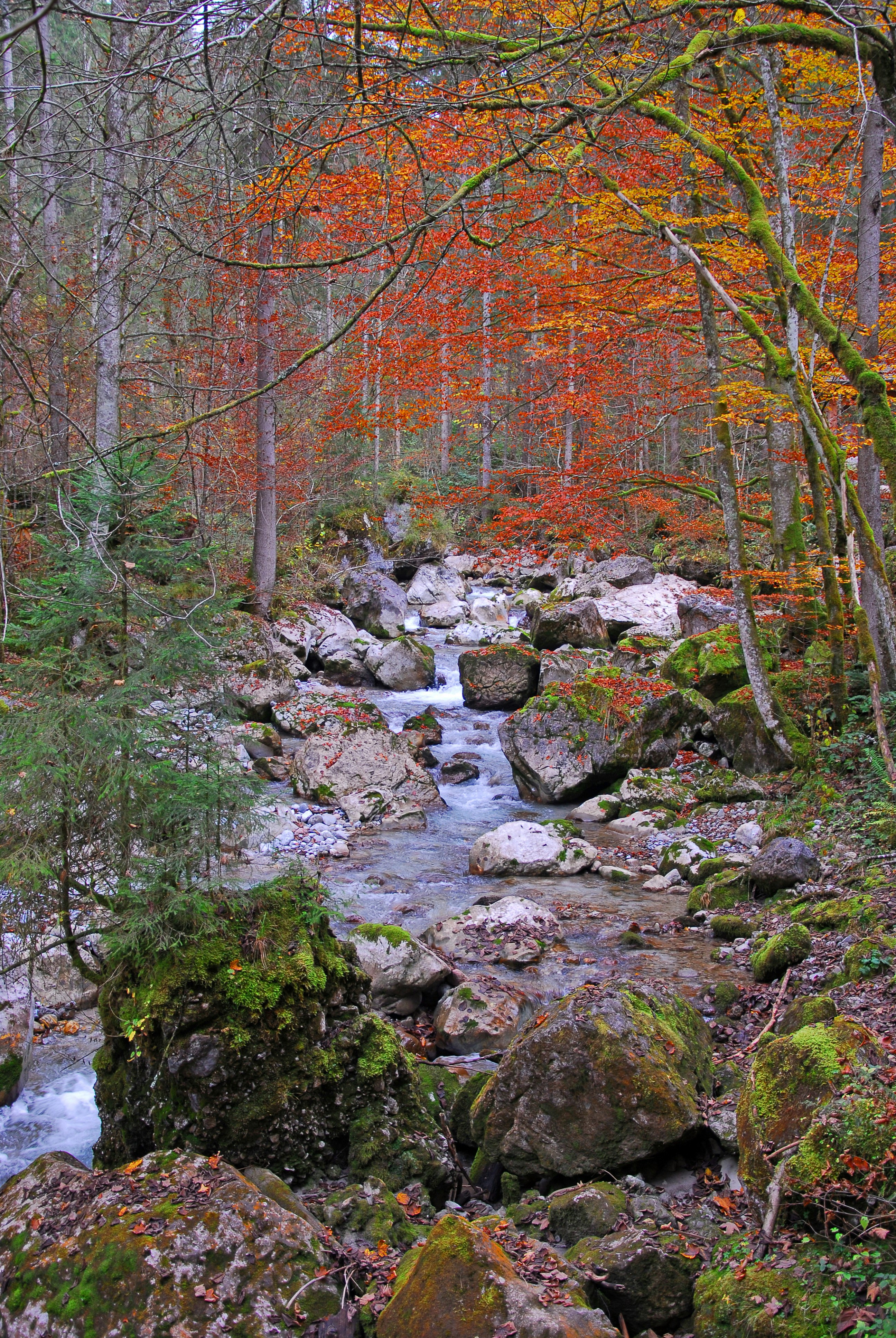 Photo by magictravel