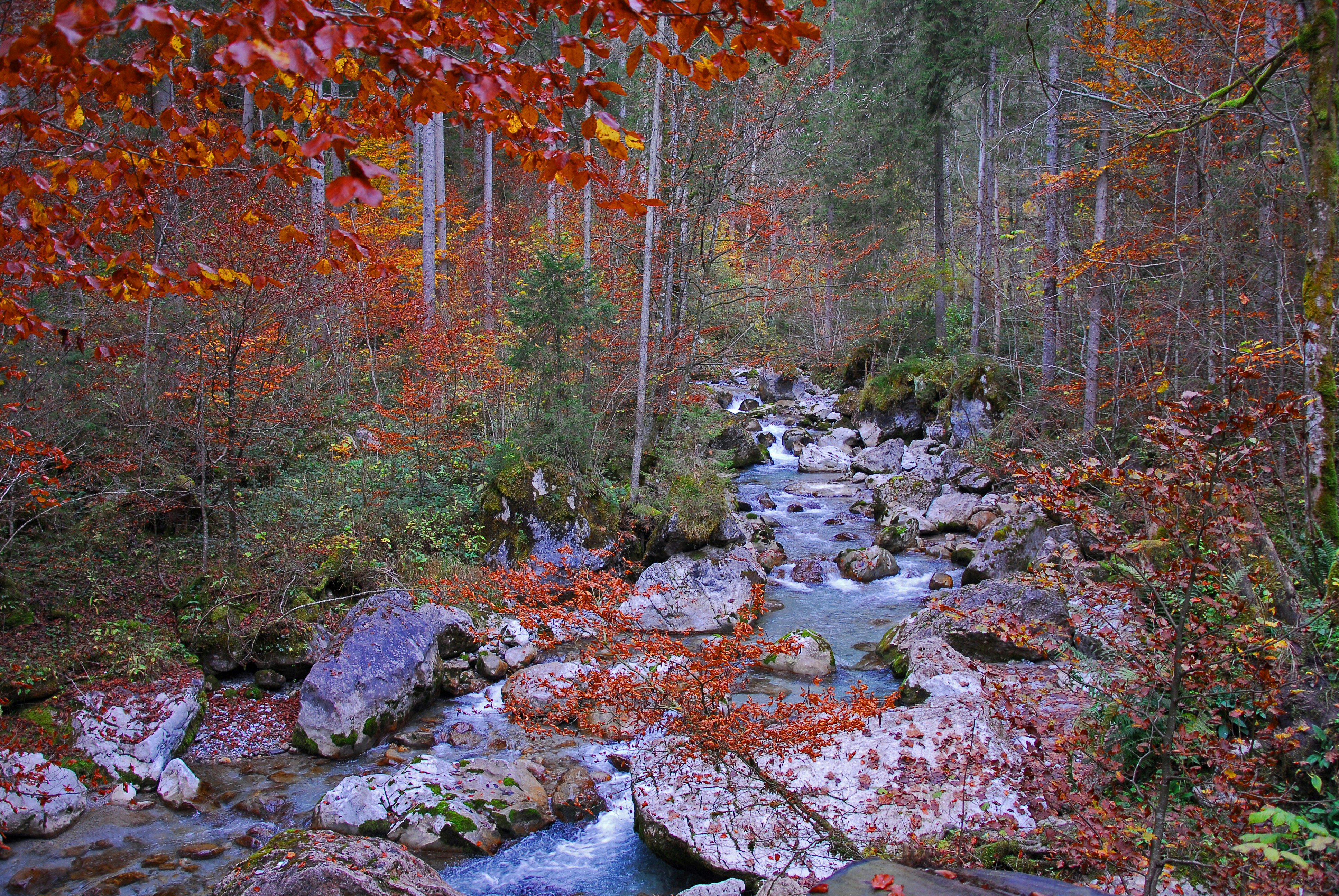 Photo by magictravel