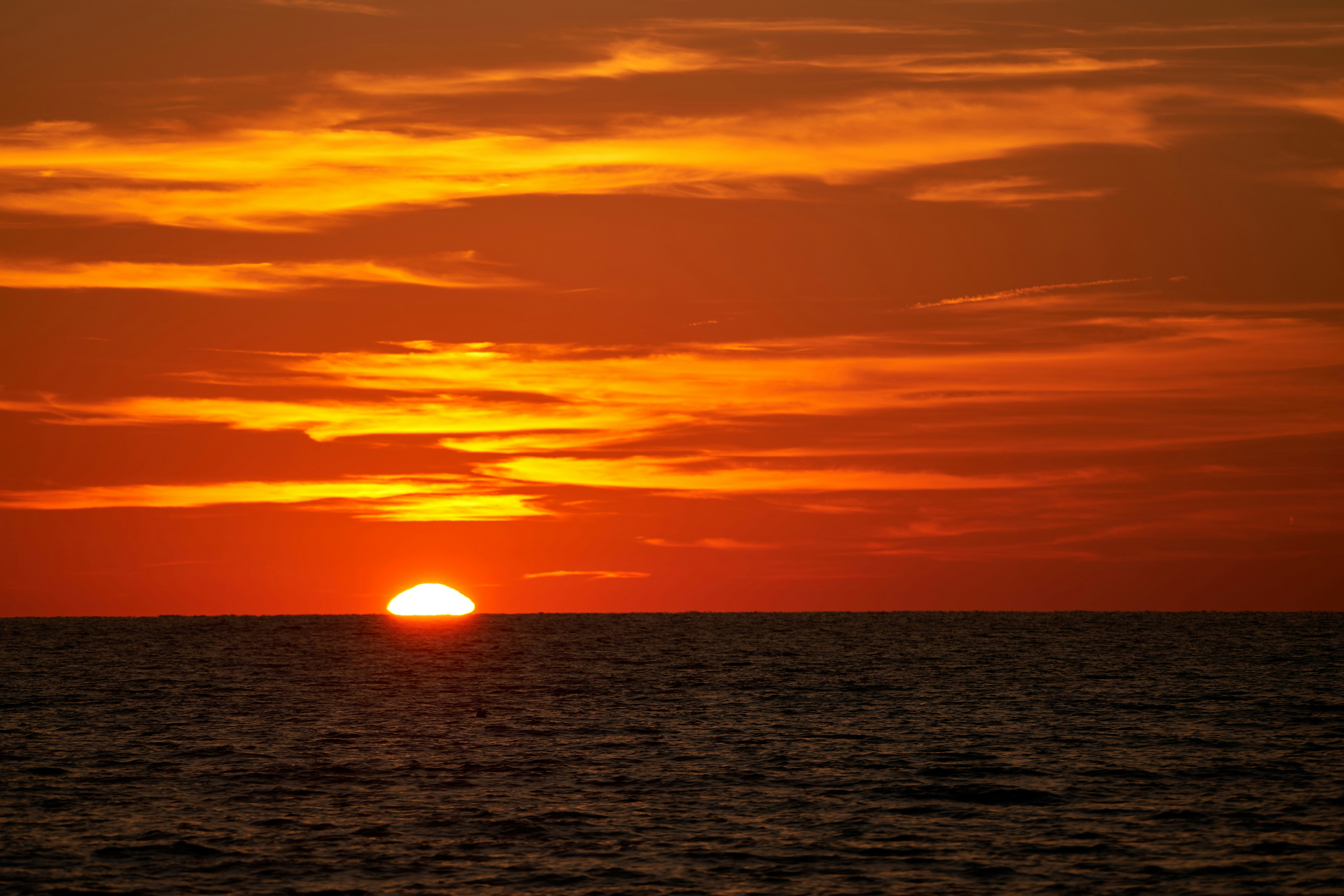 Photo by wolfgang_hasselmann