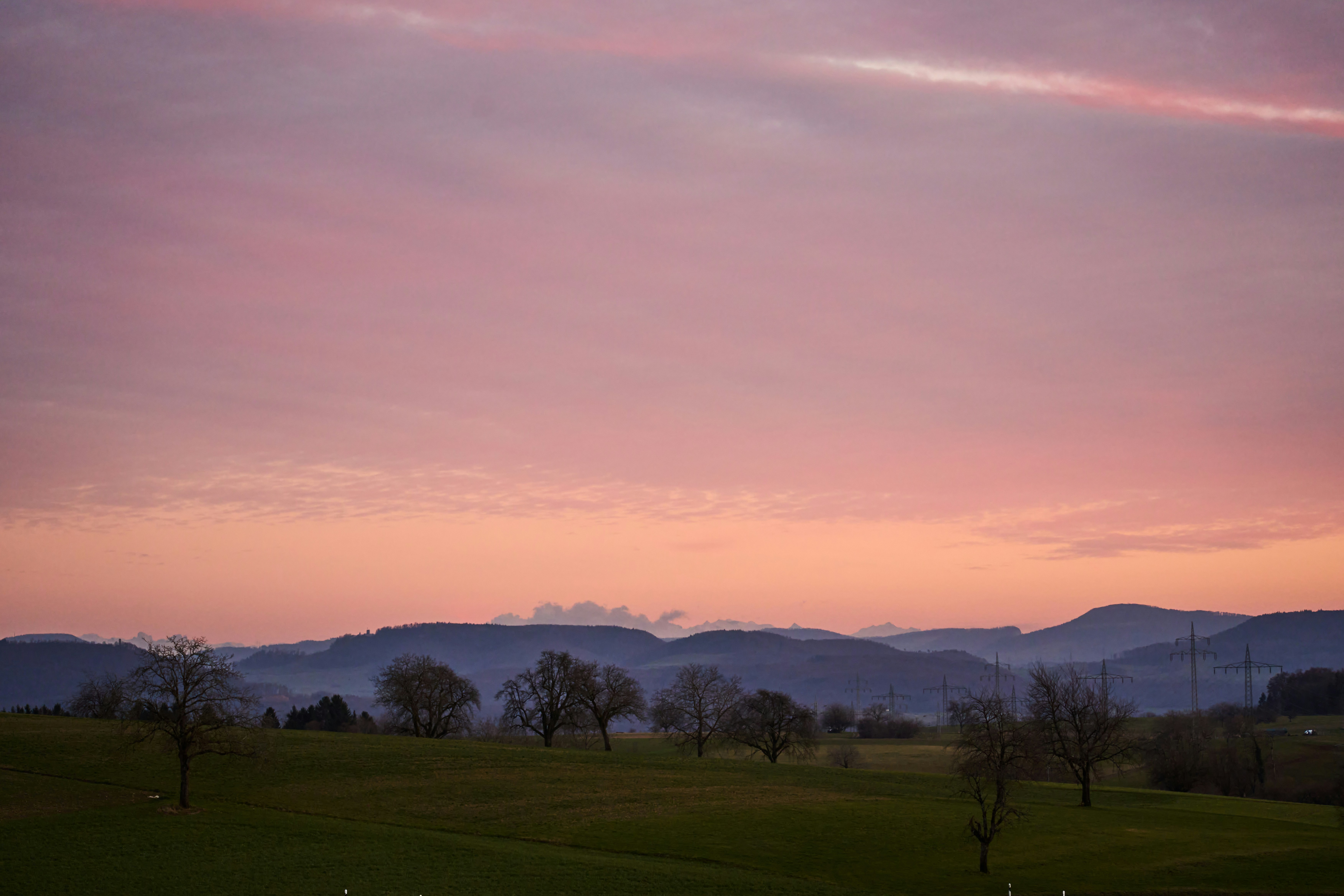 Photo by wolfgang_hasselmann