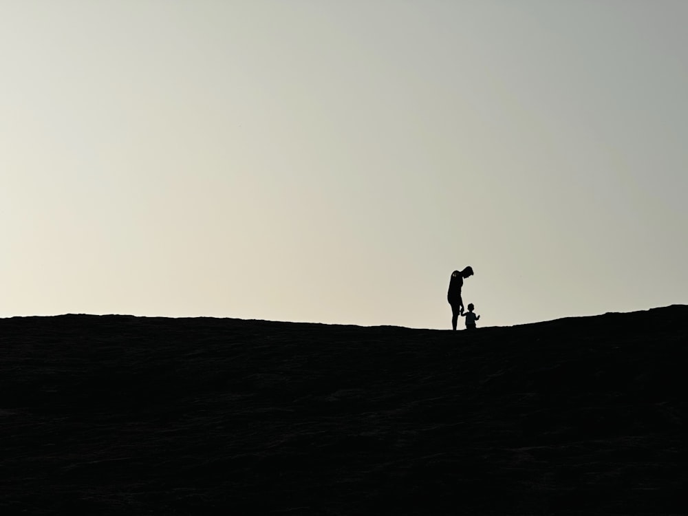 a person standing on top of a hill with a kite