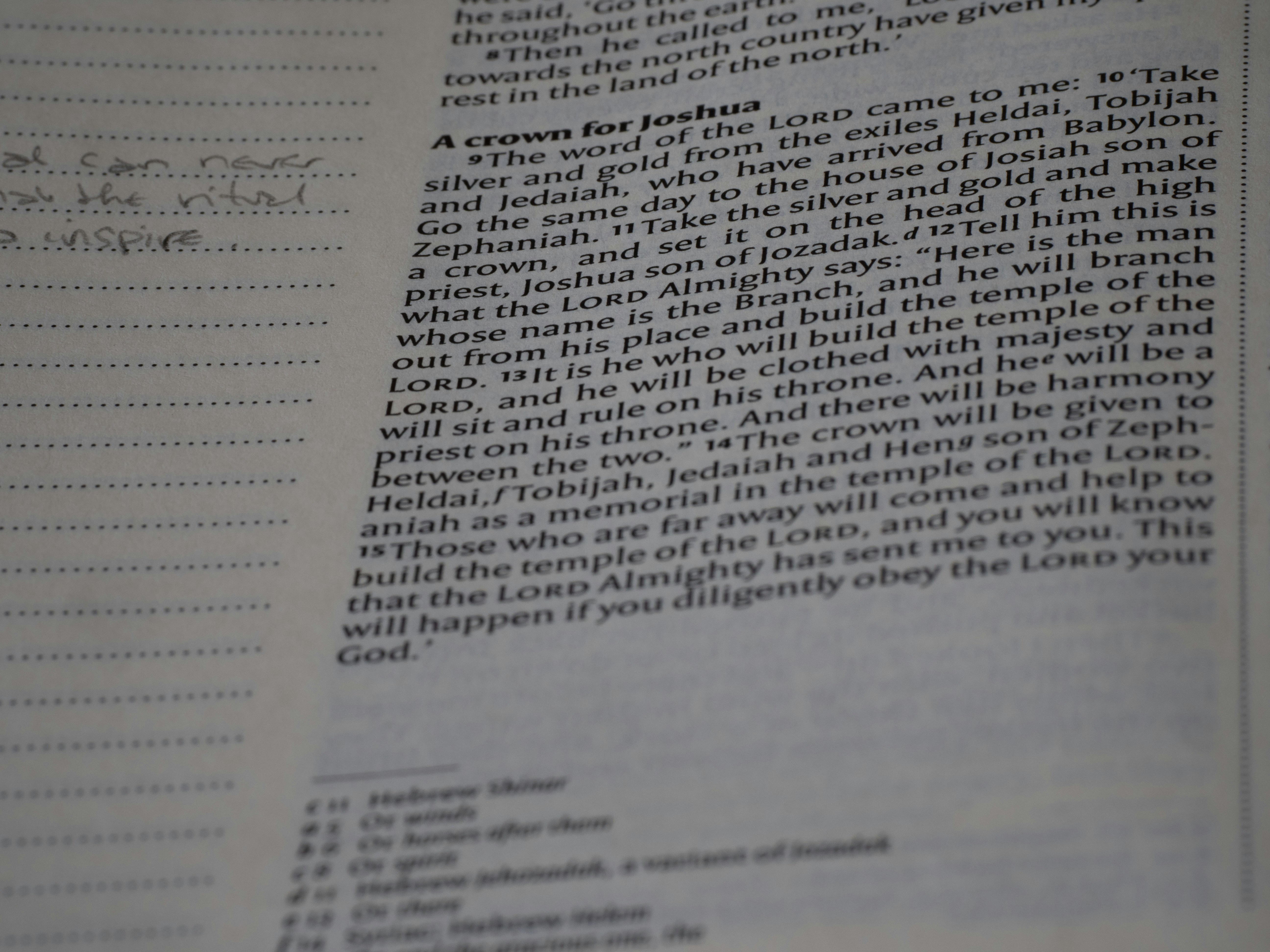 Photo by brett_jordan