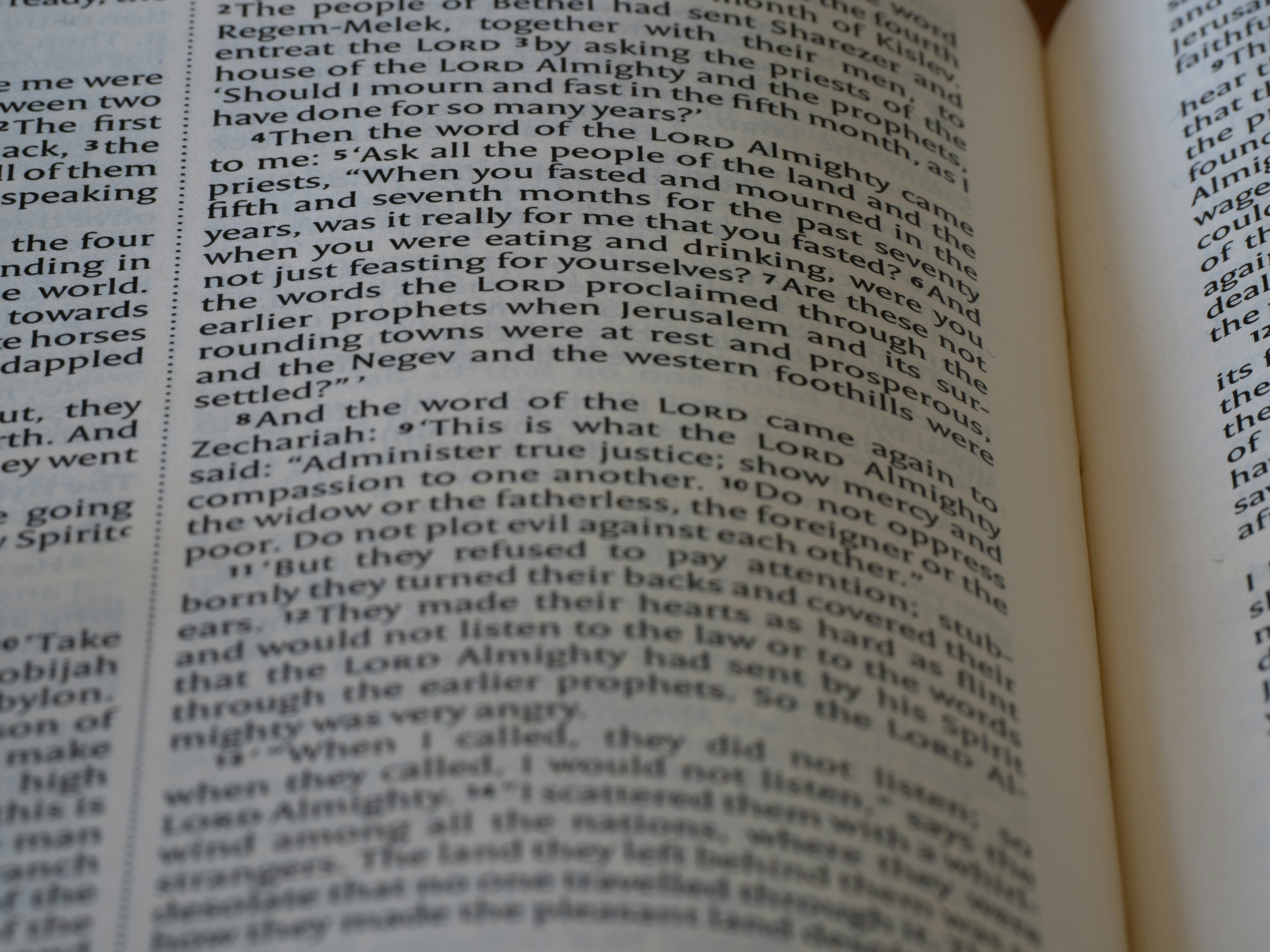 Photo by brett_jordan