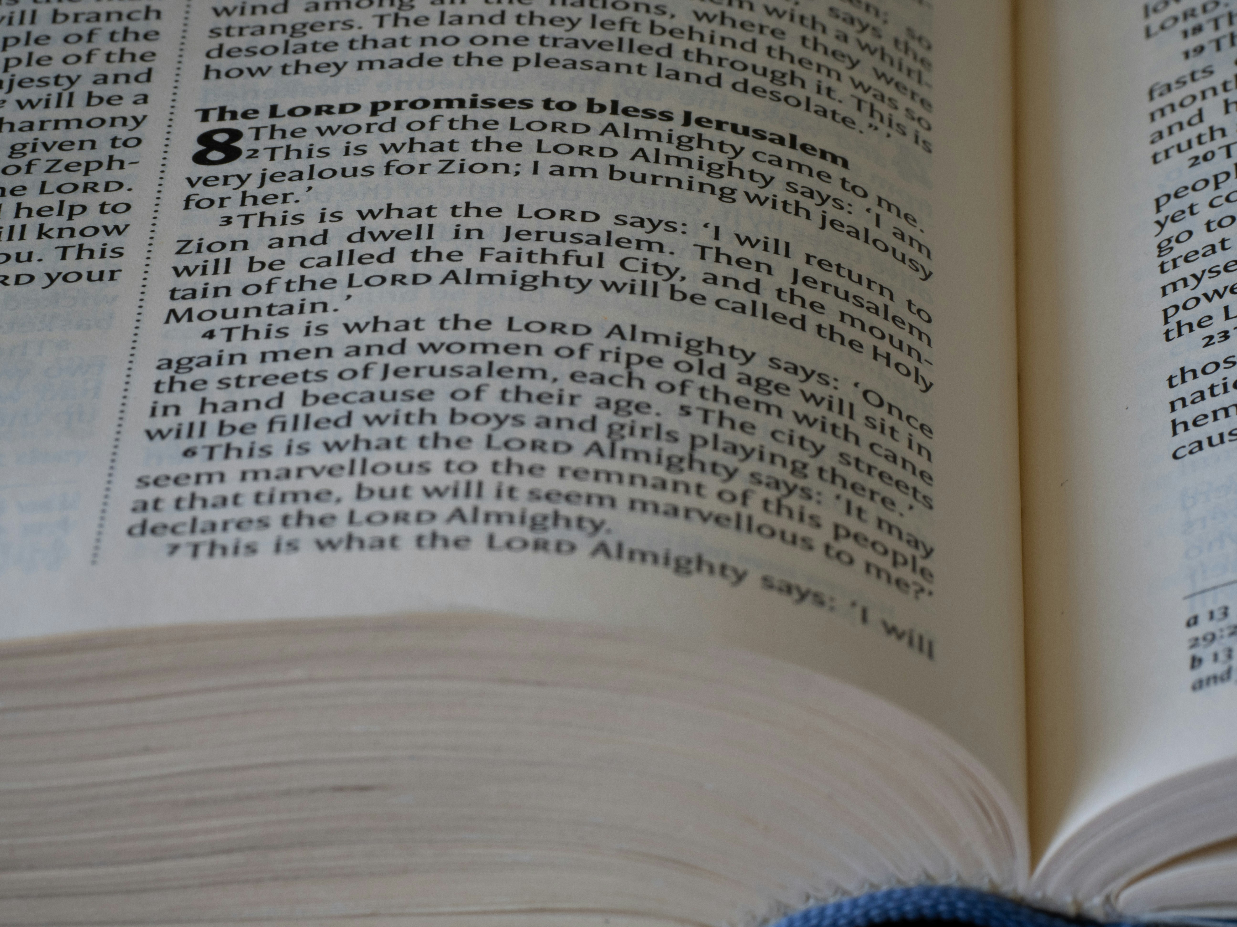 Copying Content in Gutenberg