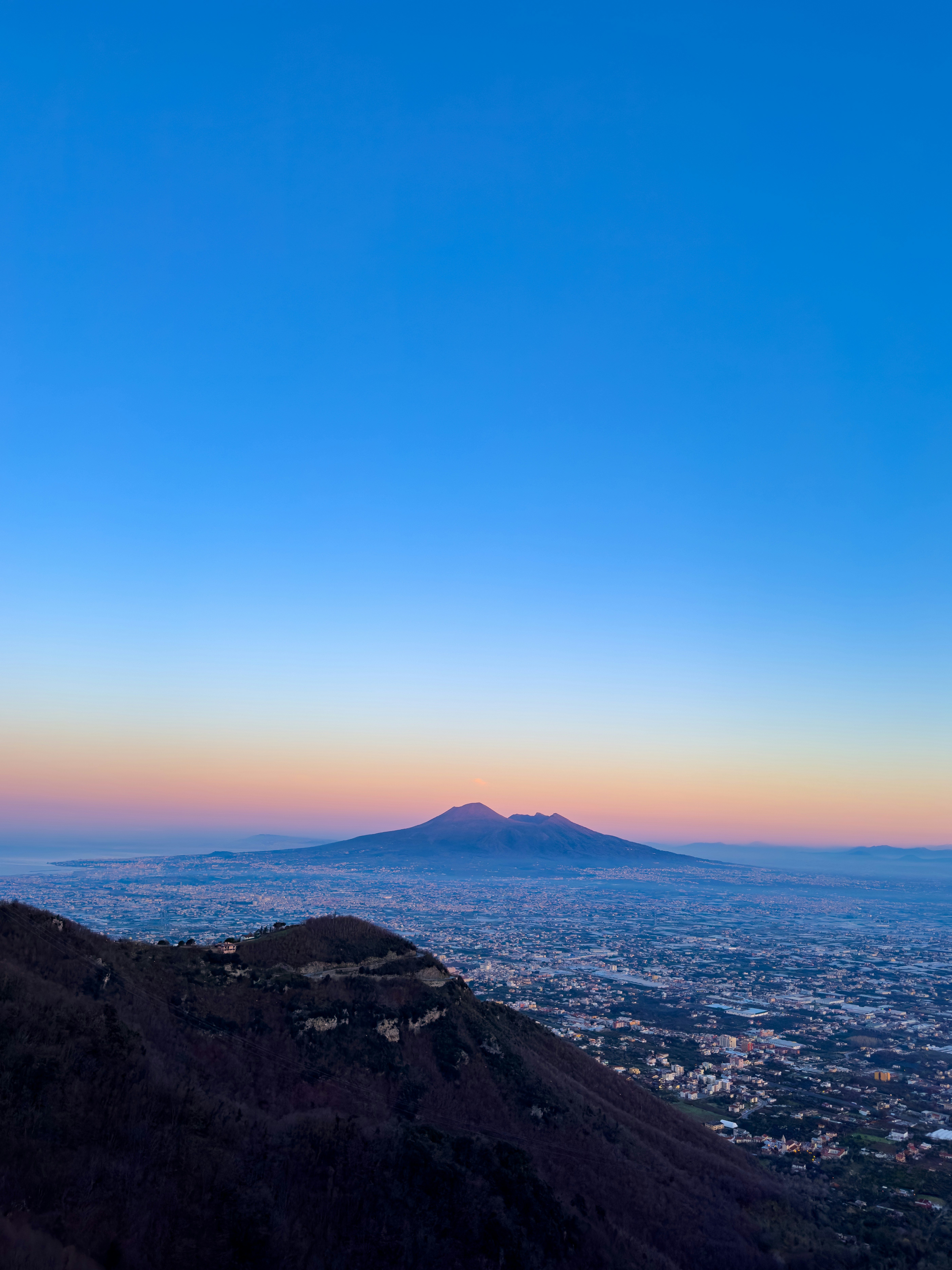 Dino v16.0.3 CD version