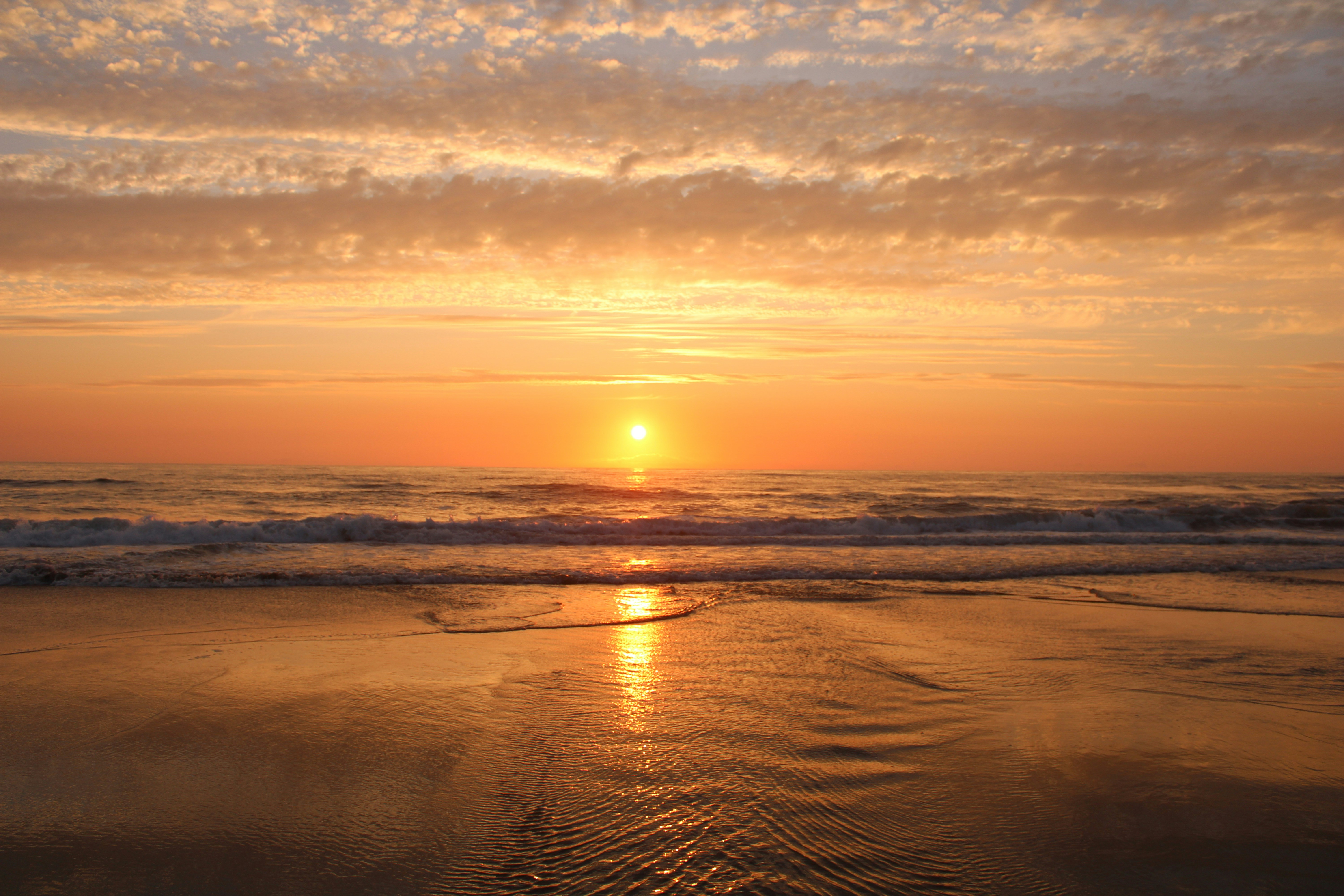 Photo by alisuliman106