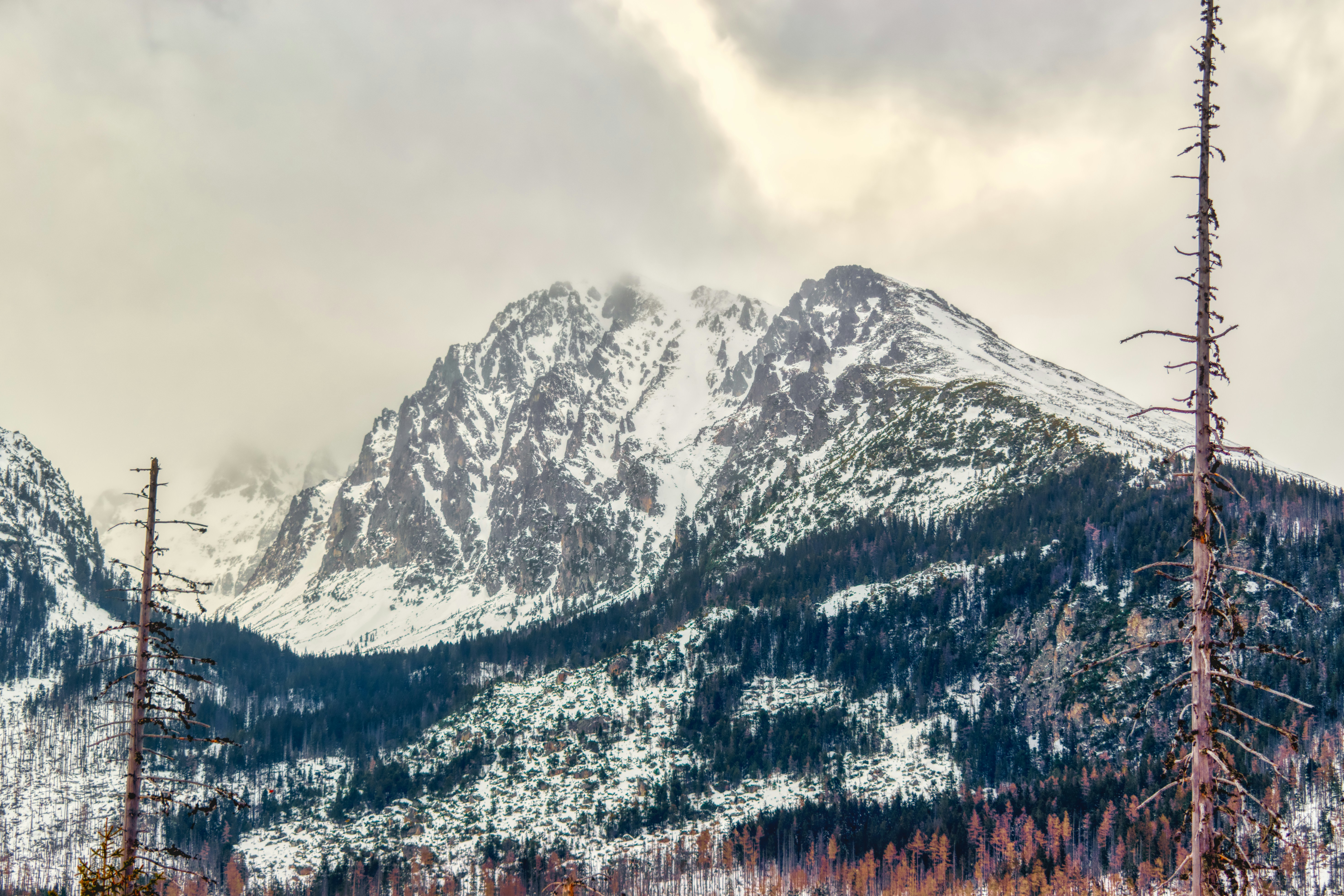 Photo by niki_emmert