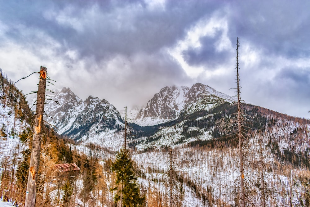 une montagne enneigée avec des arbres et un ciel nuageux