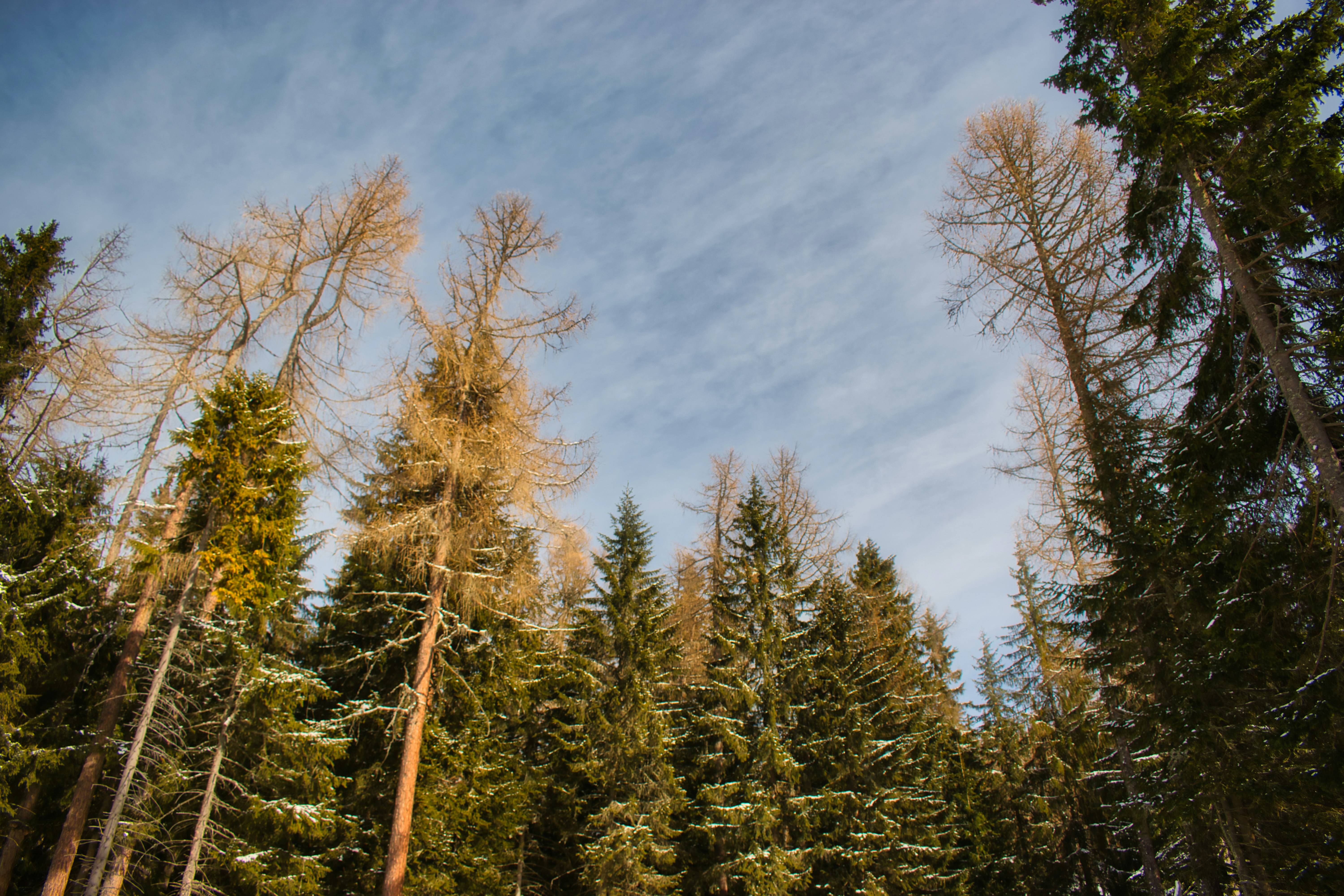 Photo by niki_emmert