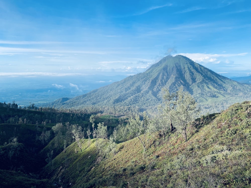 a view of a mountain with trees and a blue sky