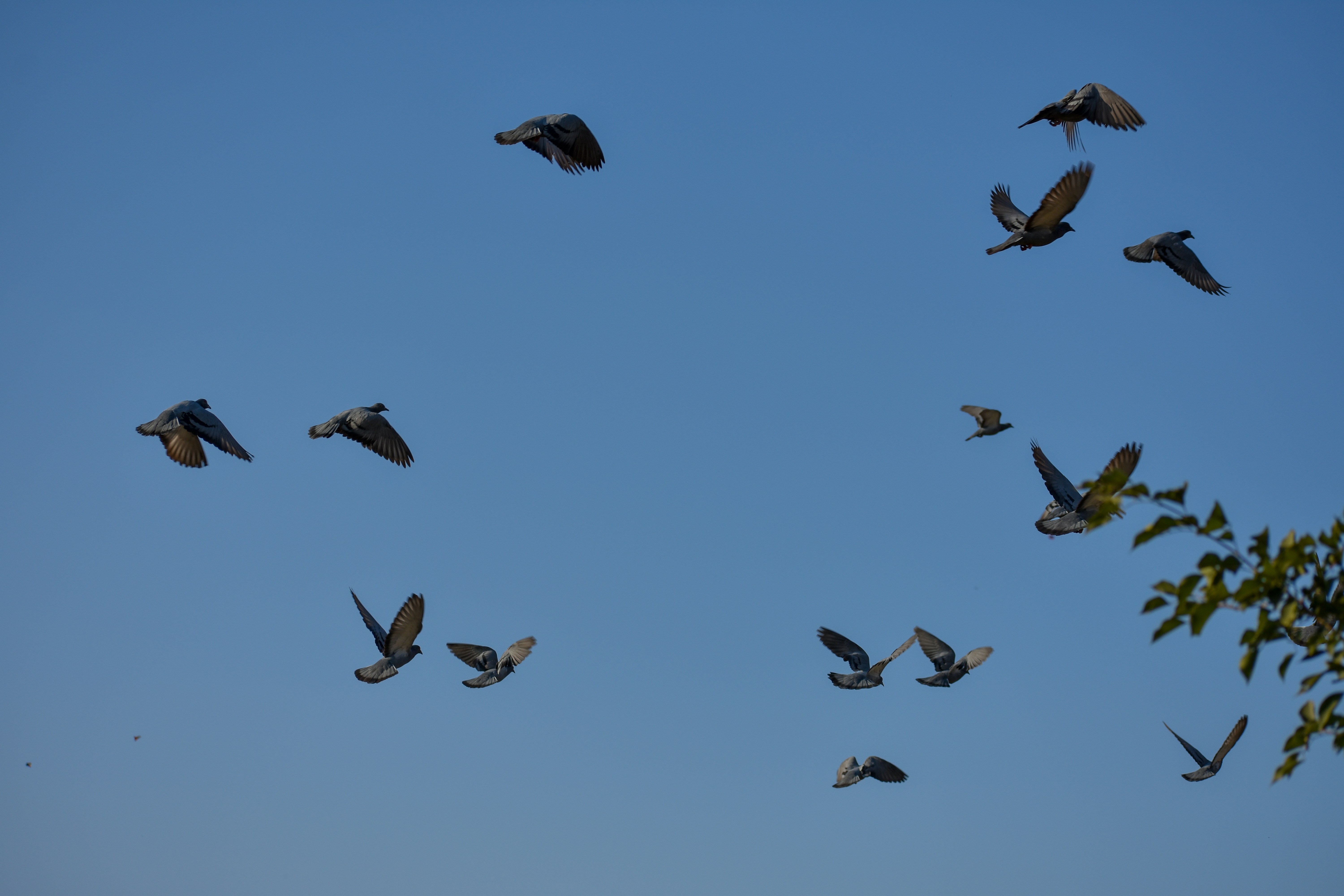 Photo by neelakshi_singh_