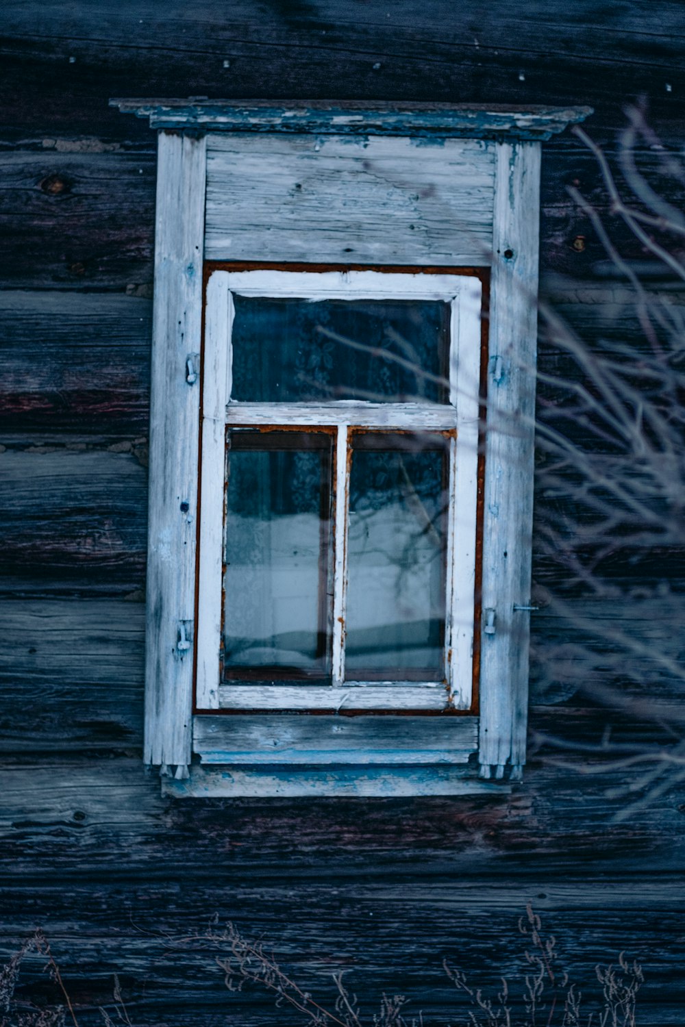 a window in a wooden wall with a tree in the background