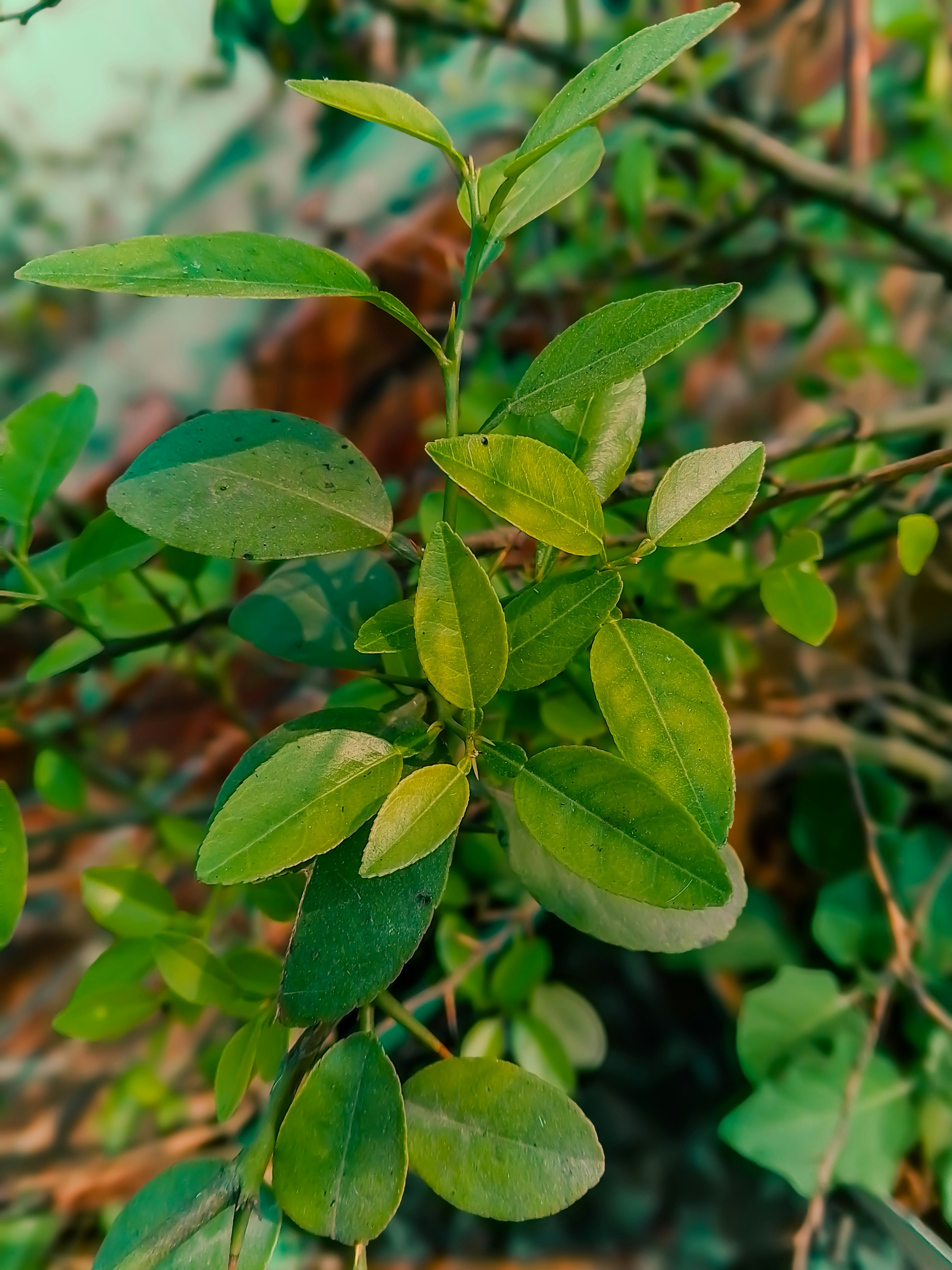 Photo by masumbinzafar