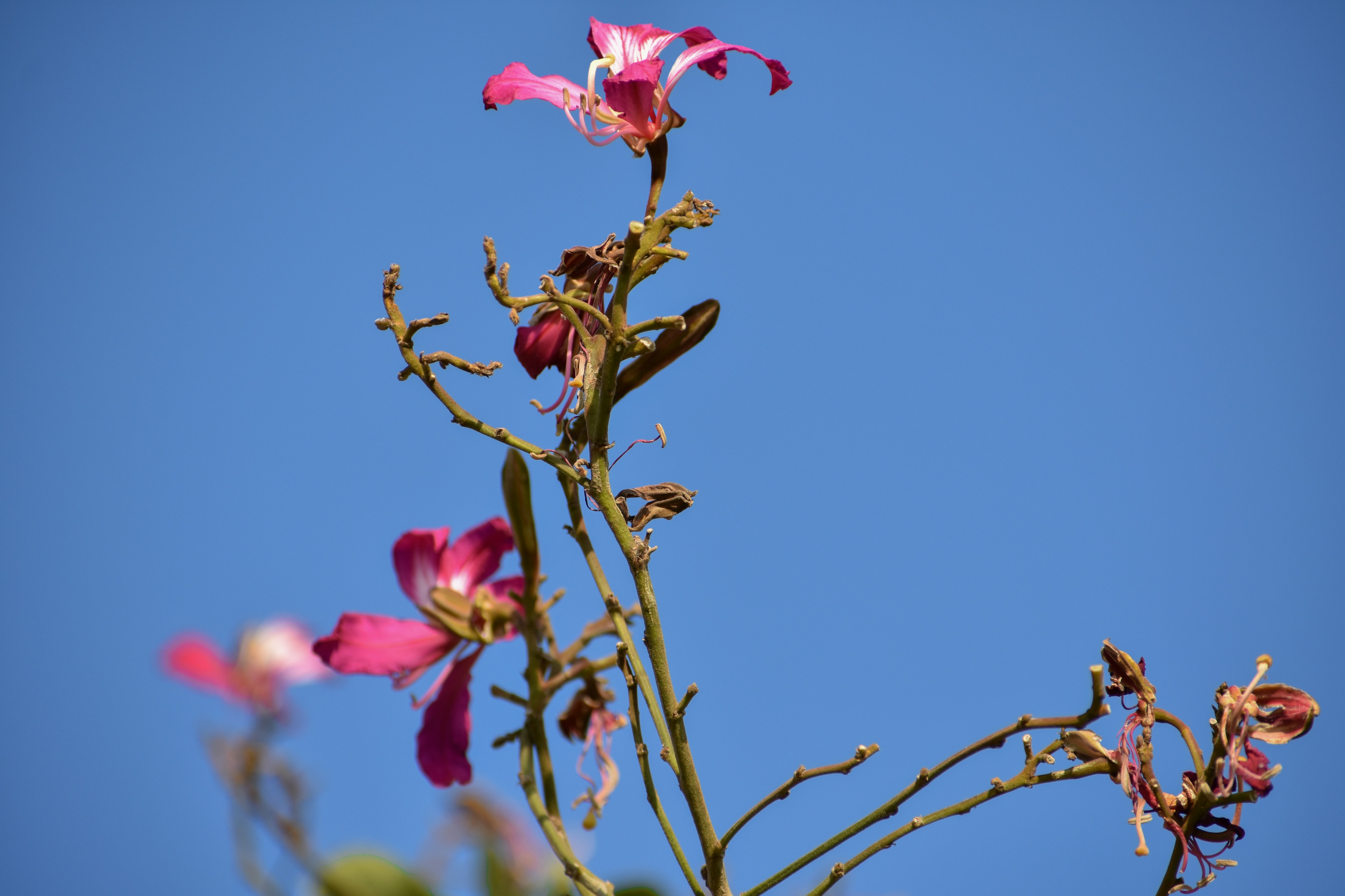 Photo by neelakshi_singh_