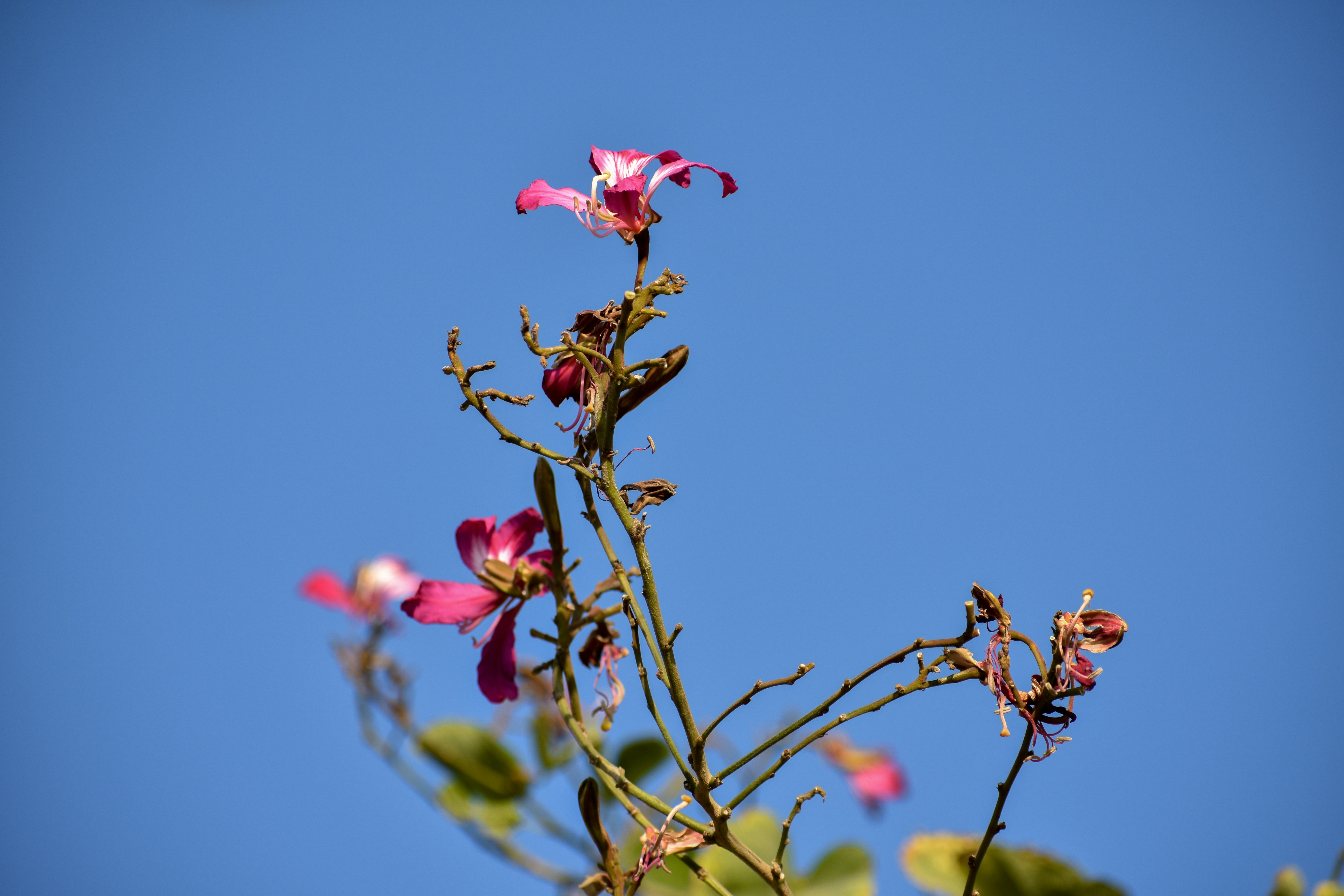 Photo by neelakshi_singh_