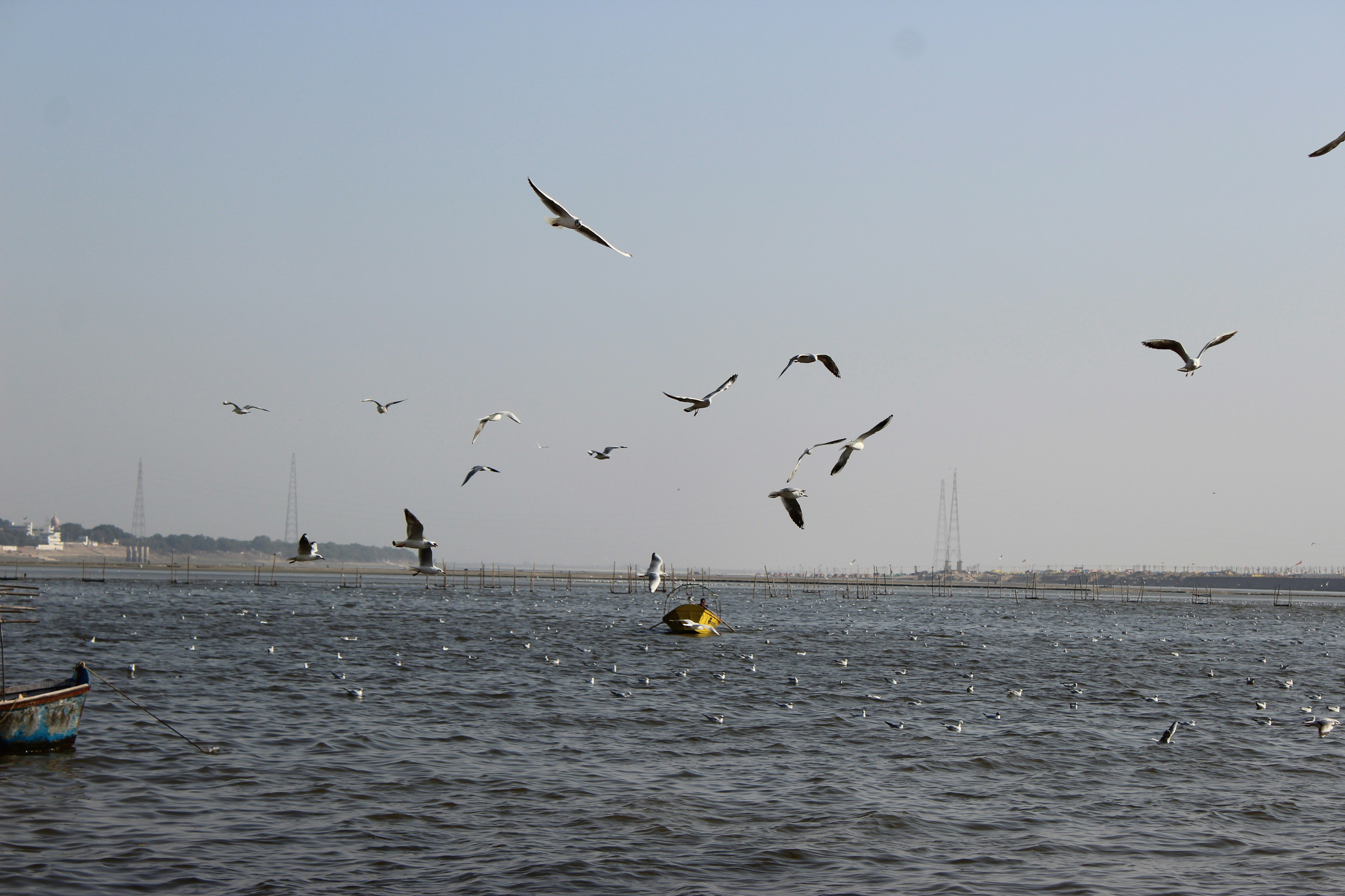 Photo by amarallahabadi