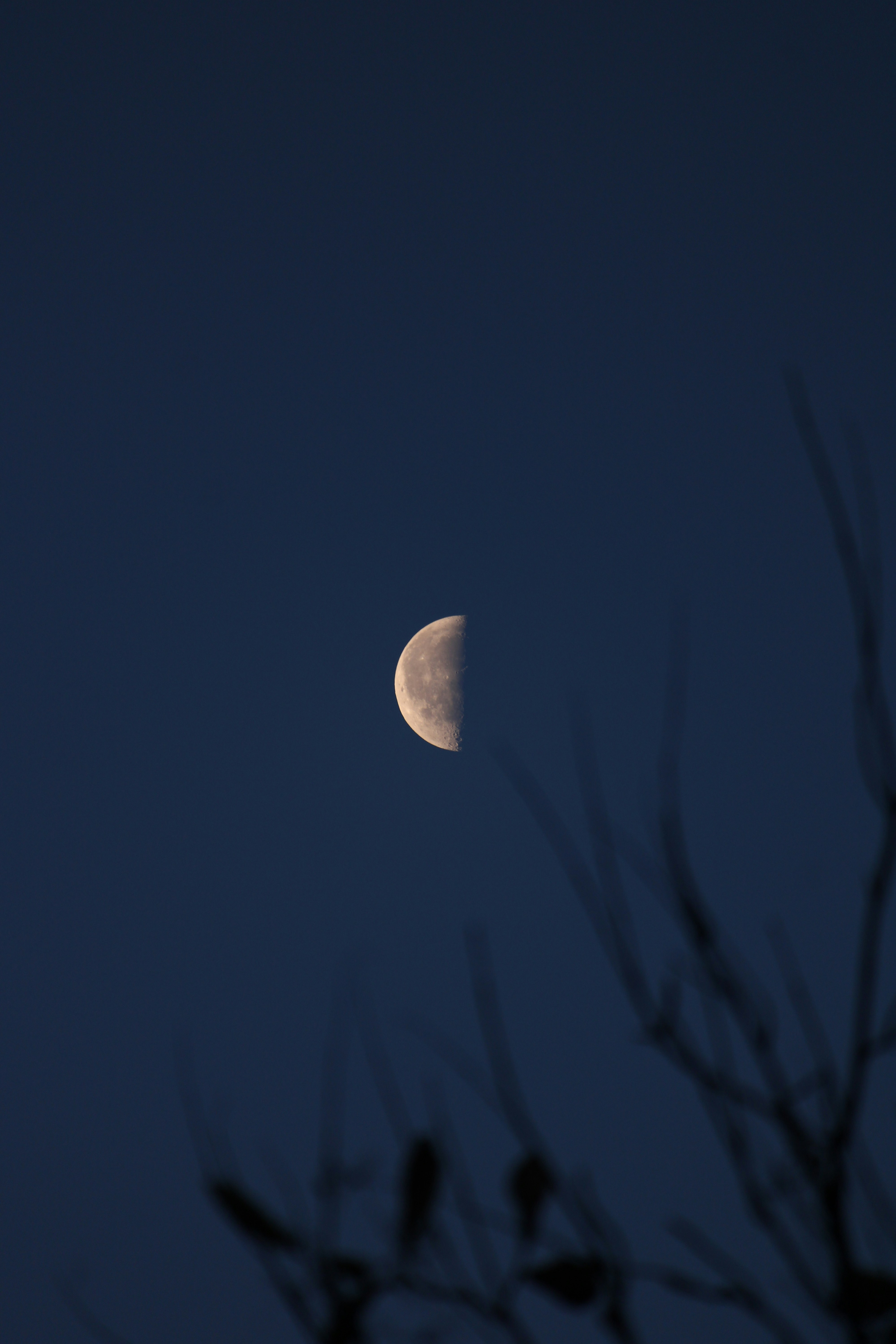 Photo by prathamesh28