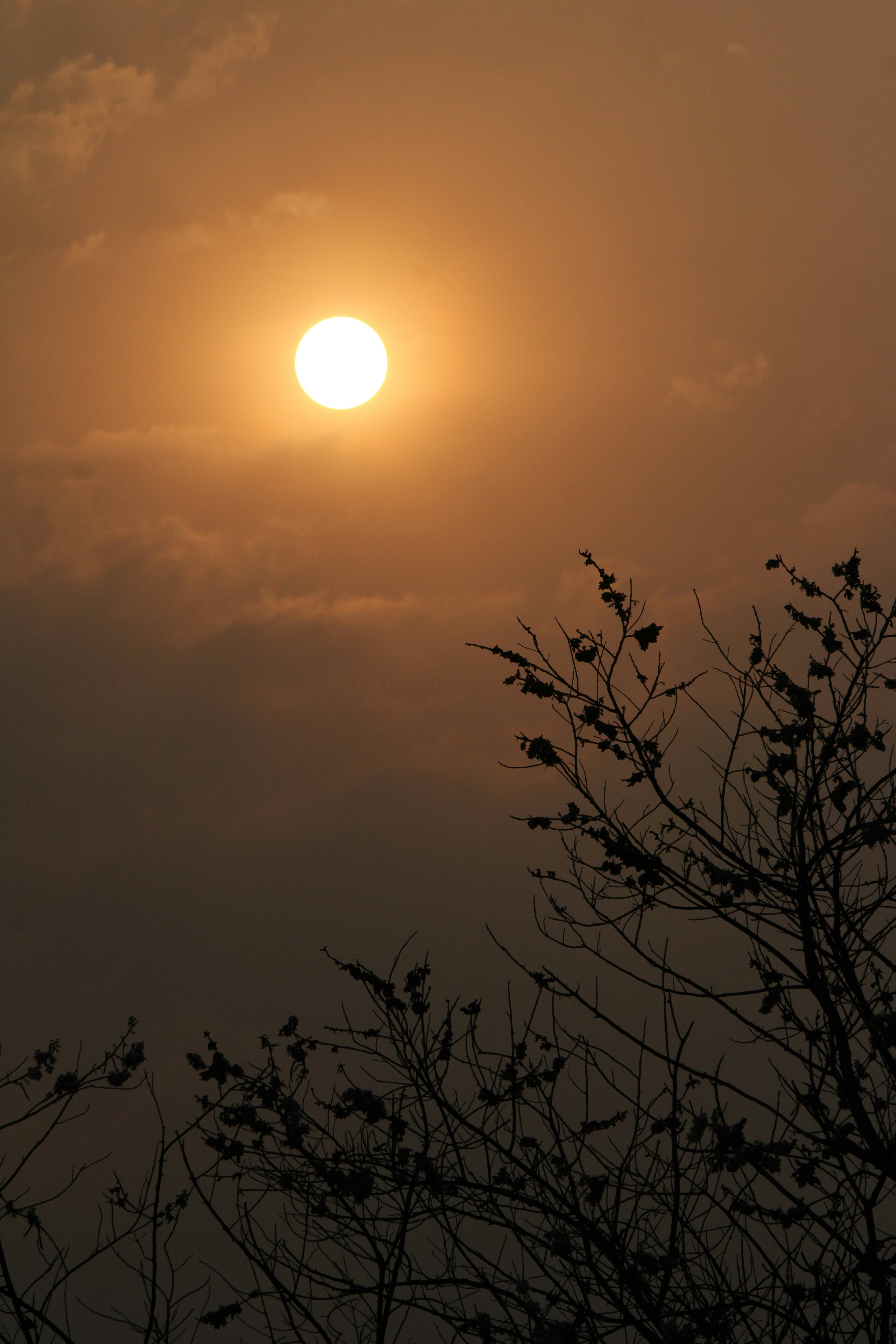 Photo by prathamesh28