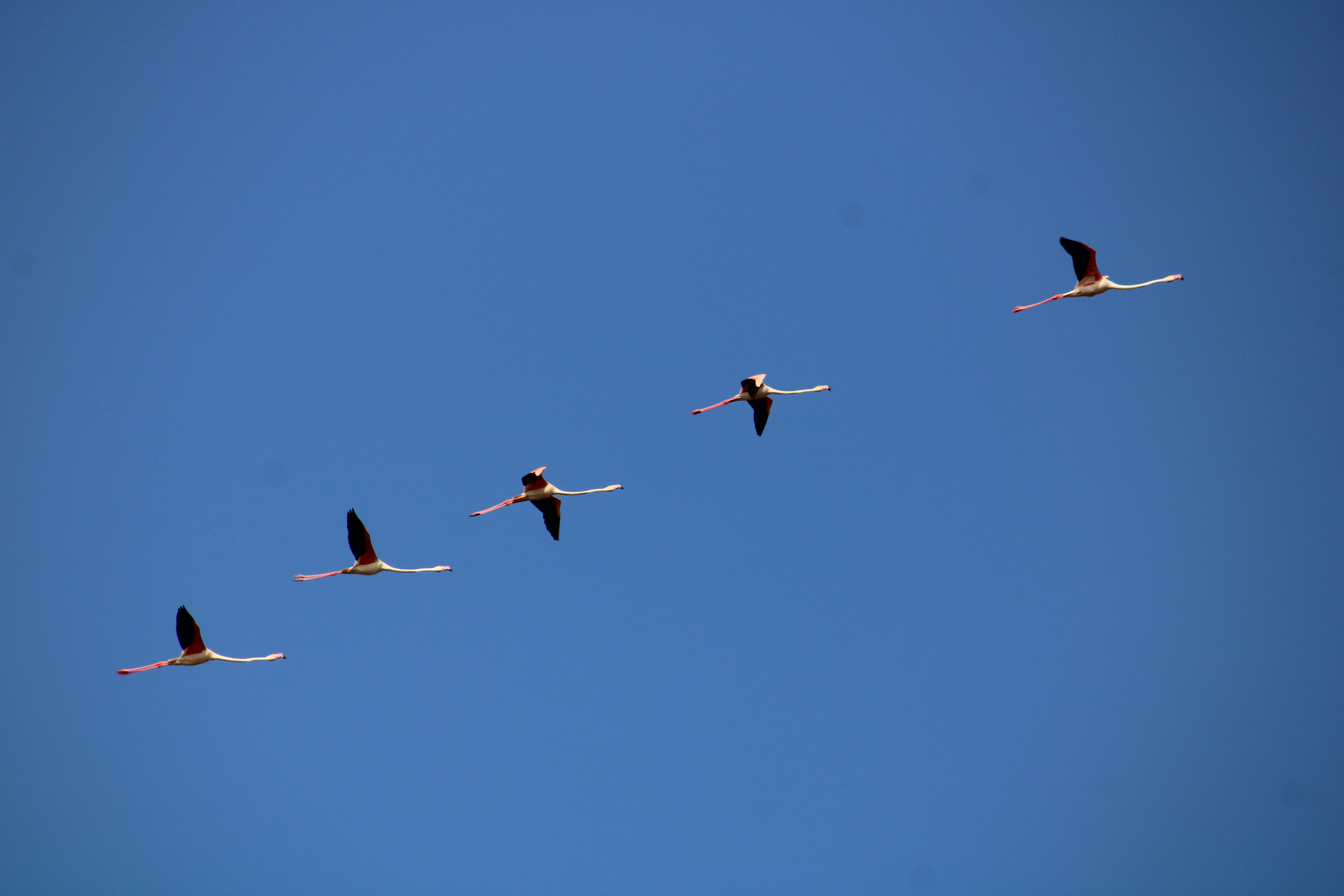 Photo by prathamesh28