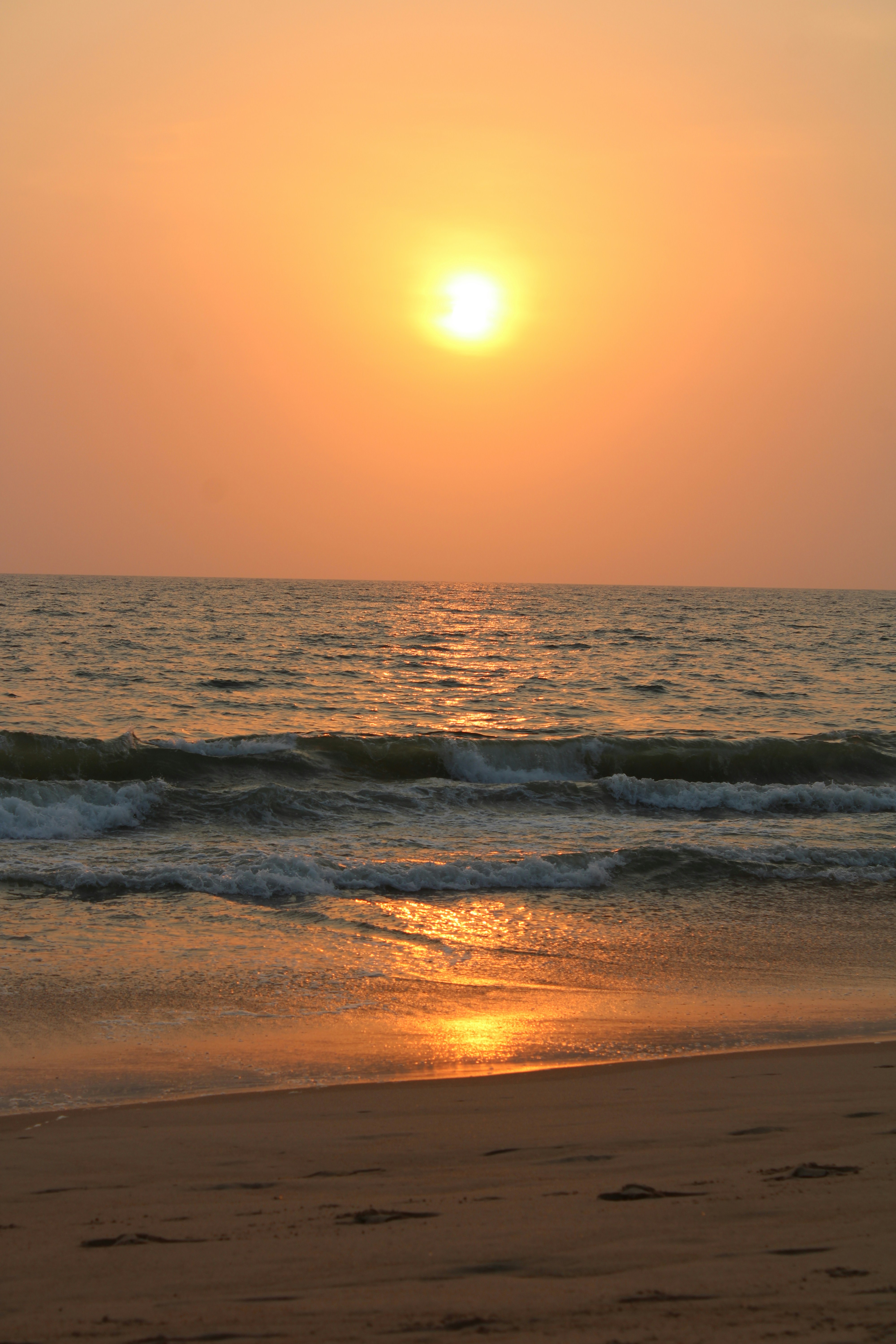 Photo by prathamesh28