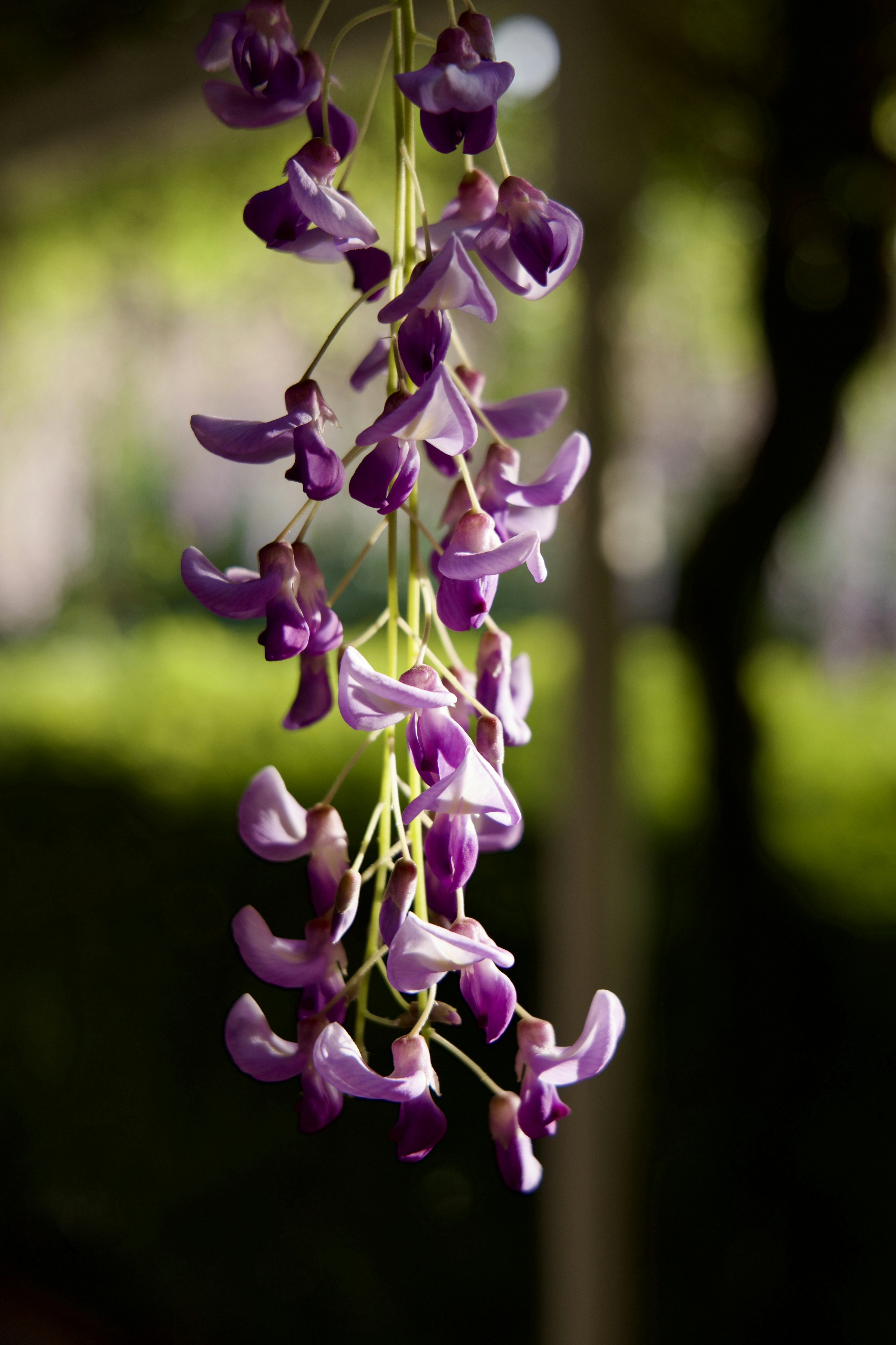 Photo by thelightnight