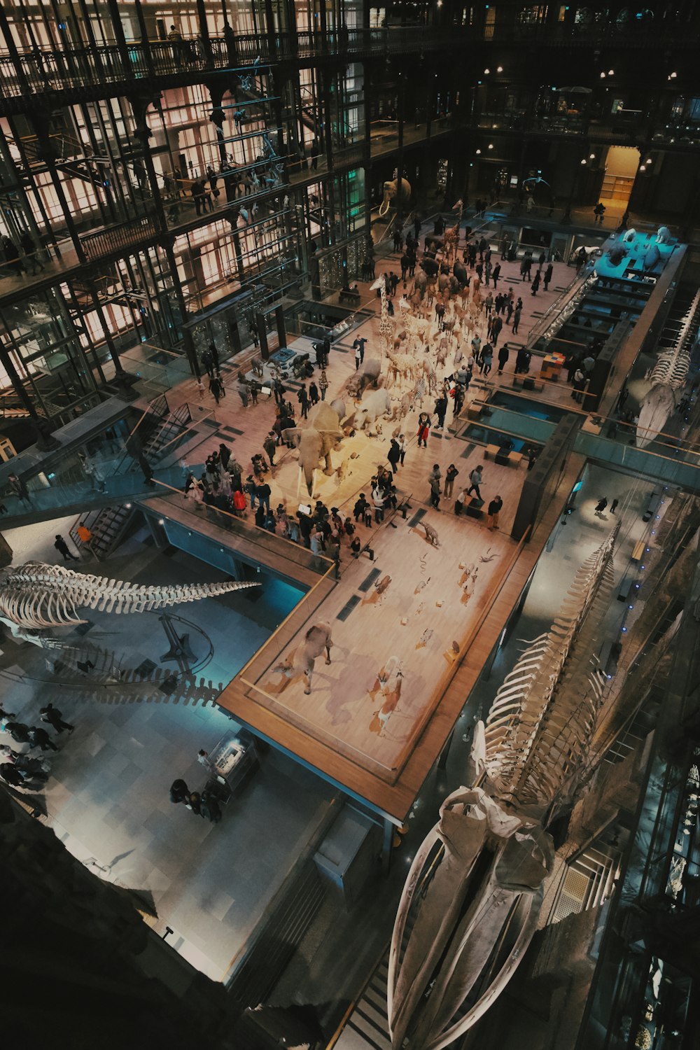 a group of people standing around a museum