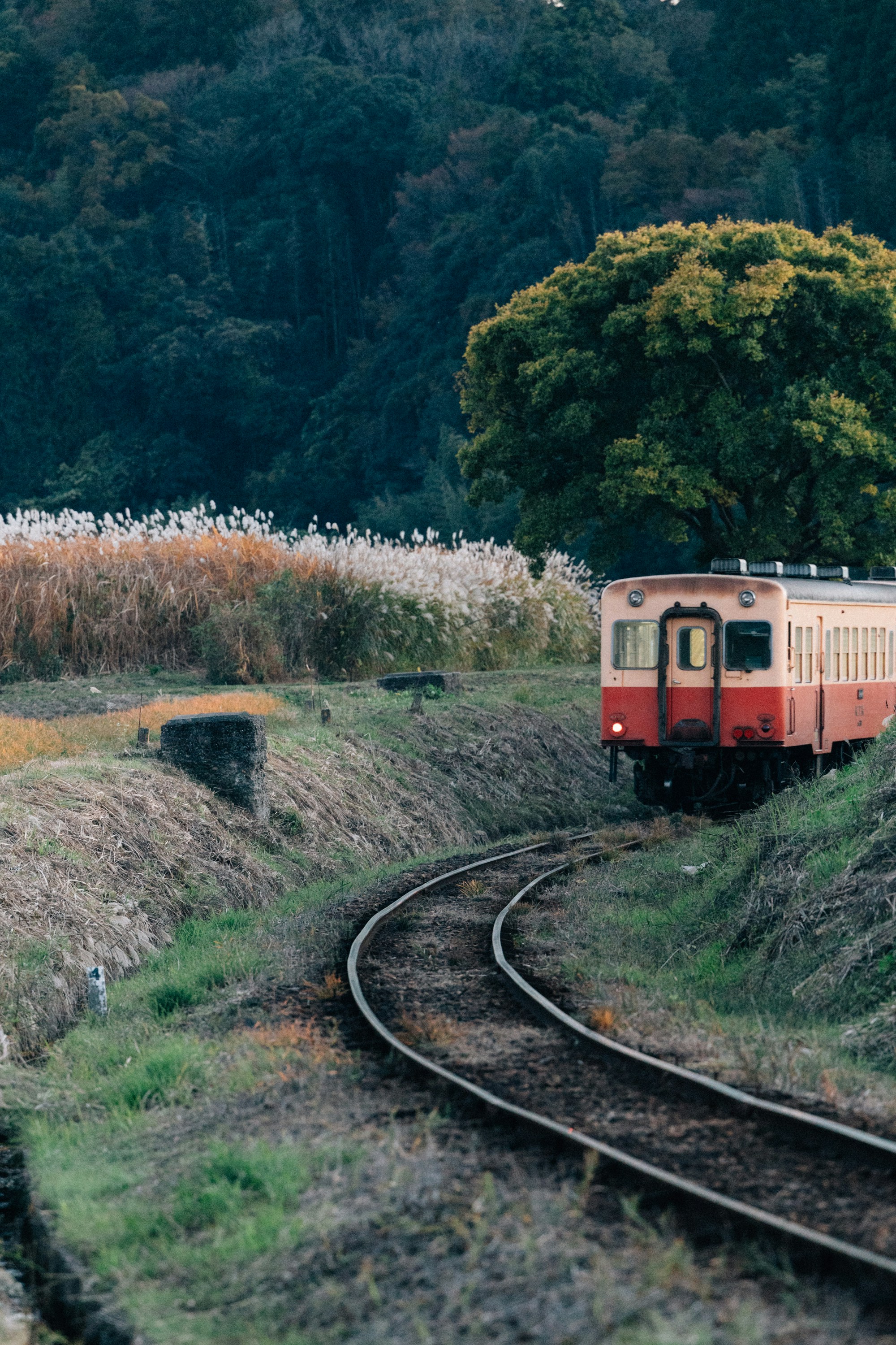 Photo by tsuyoshikozu