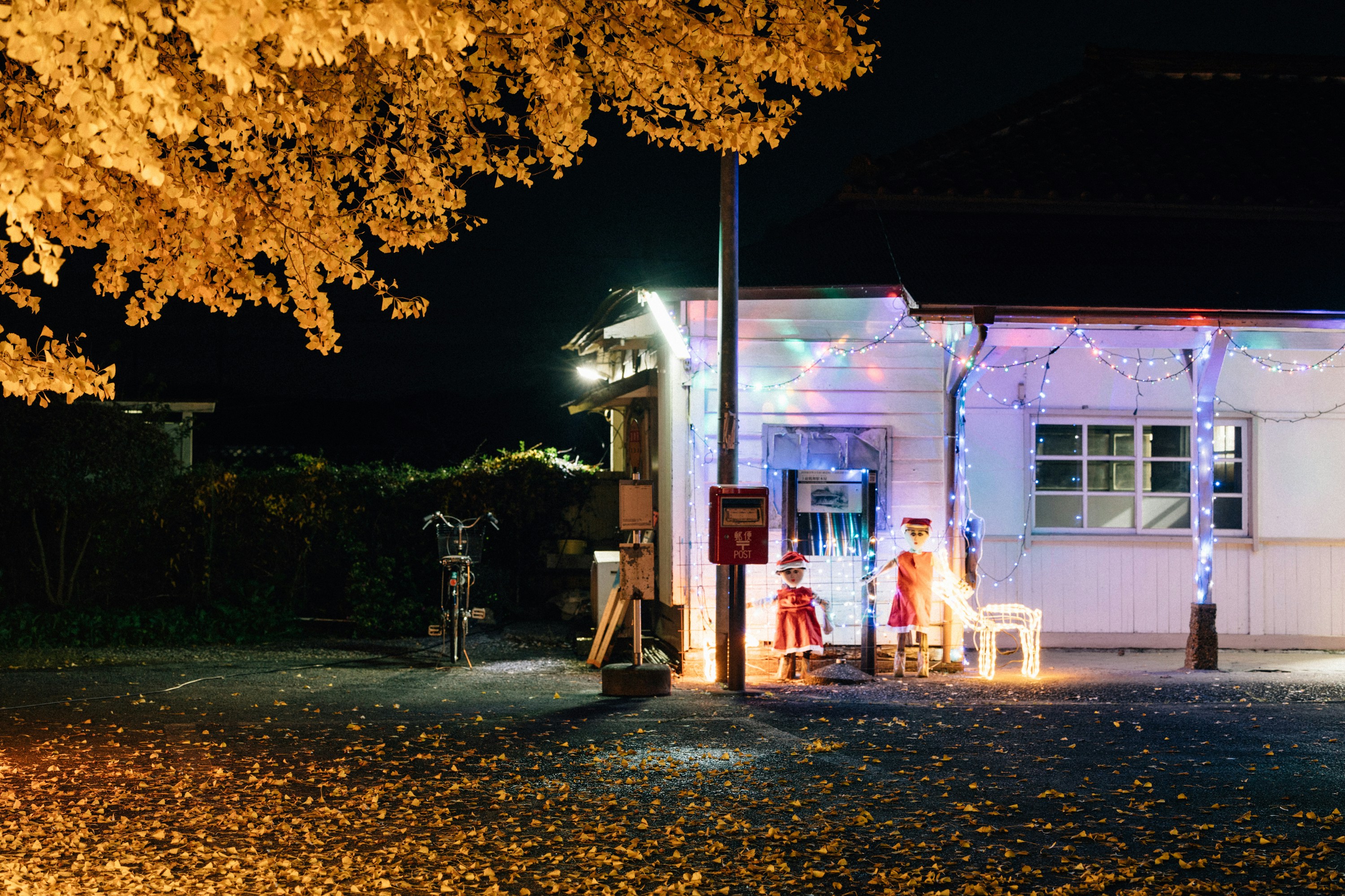 Photo by tsuyoshikozu