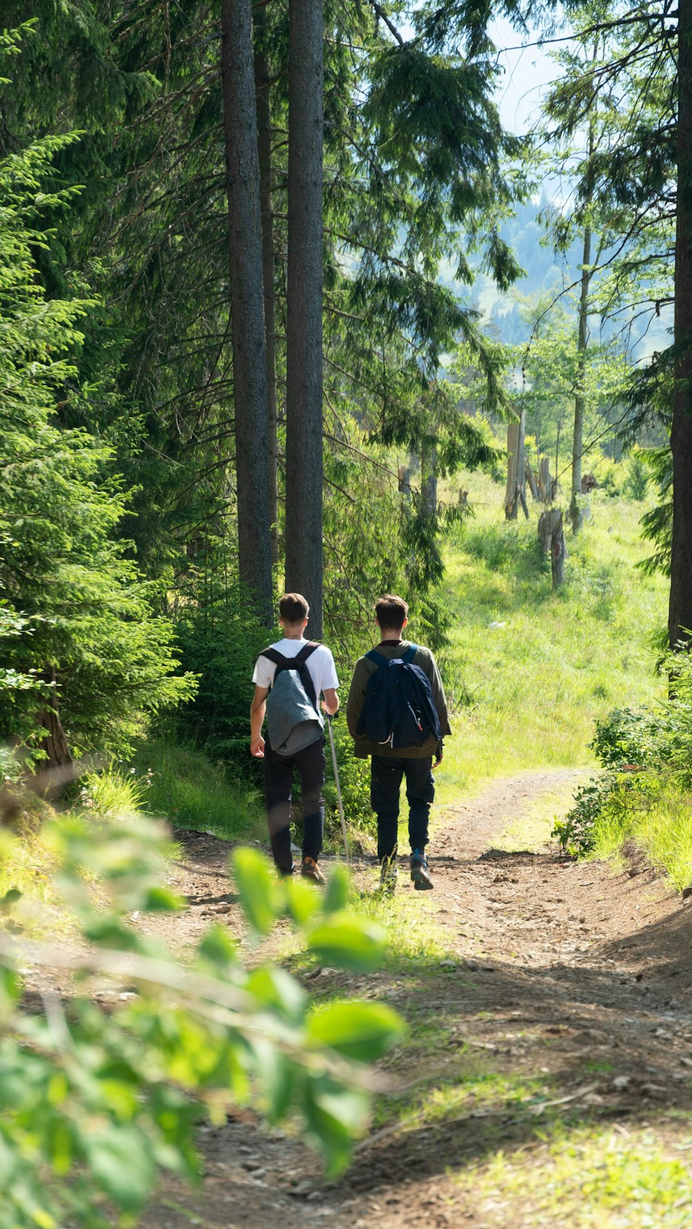 two people walking down a trail in the woods