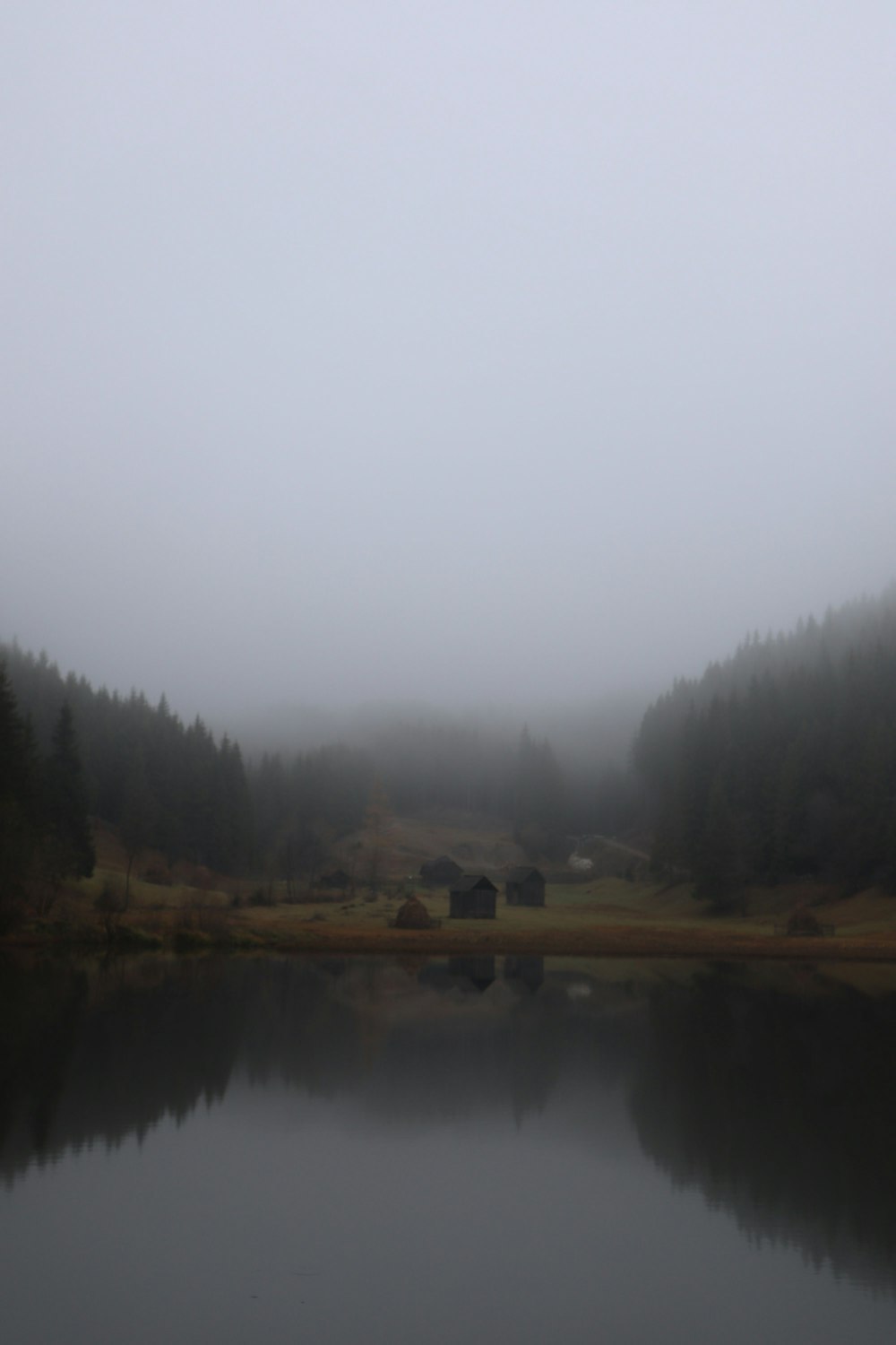 a body of water surrounded by trees and fog