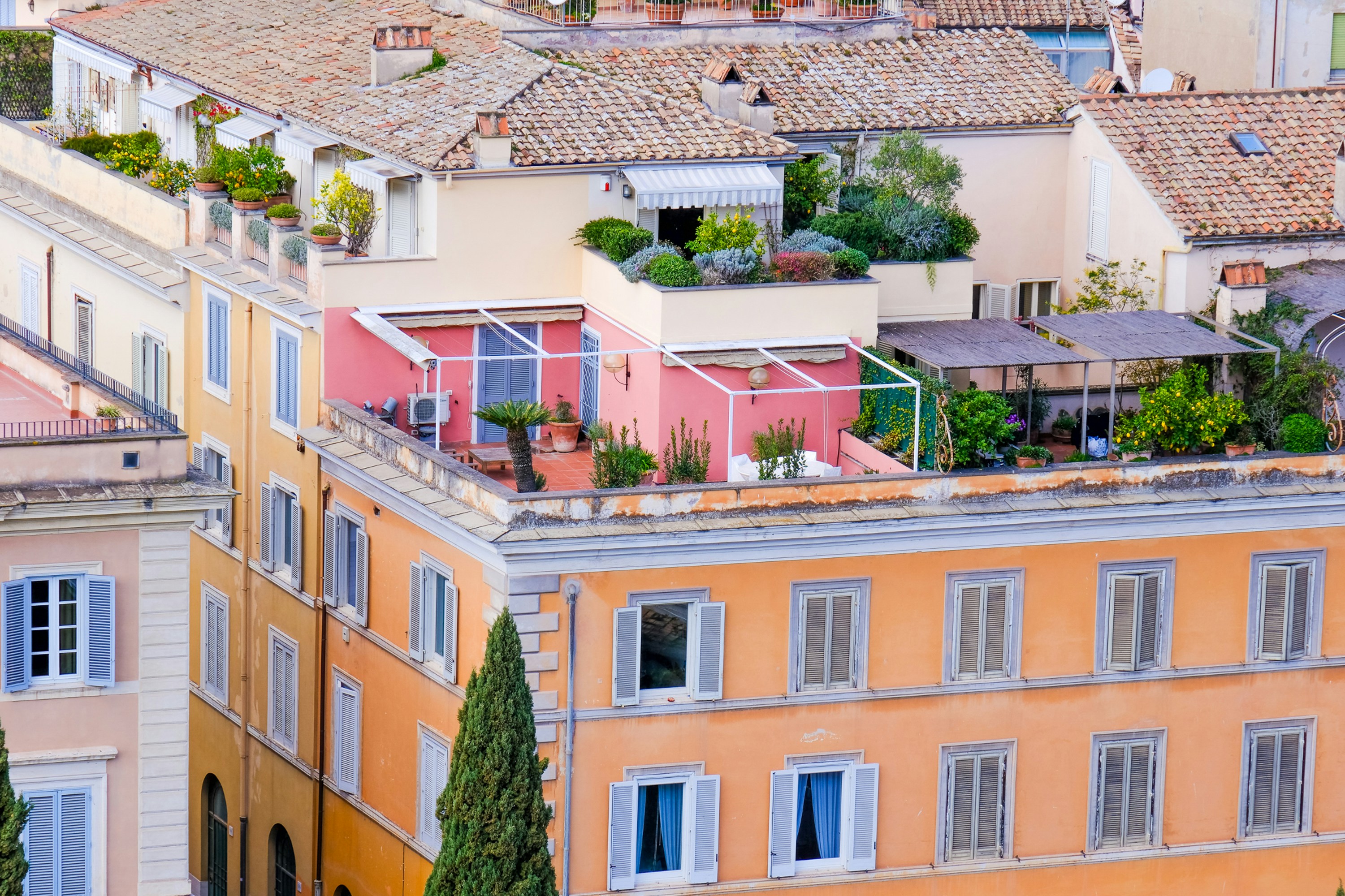 Photo by cestmoisheedy