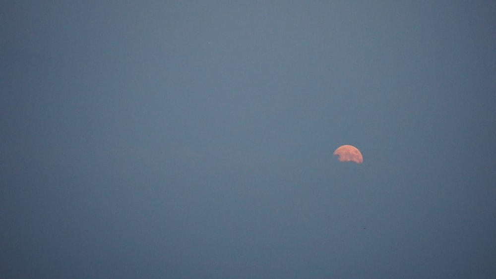 a full moon is seen in the sky