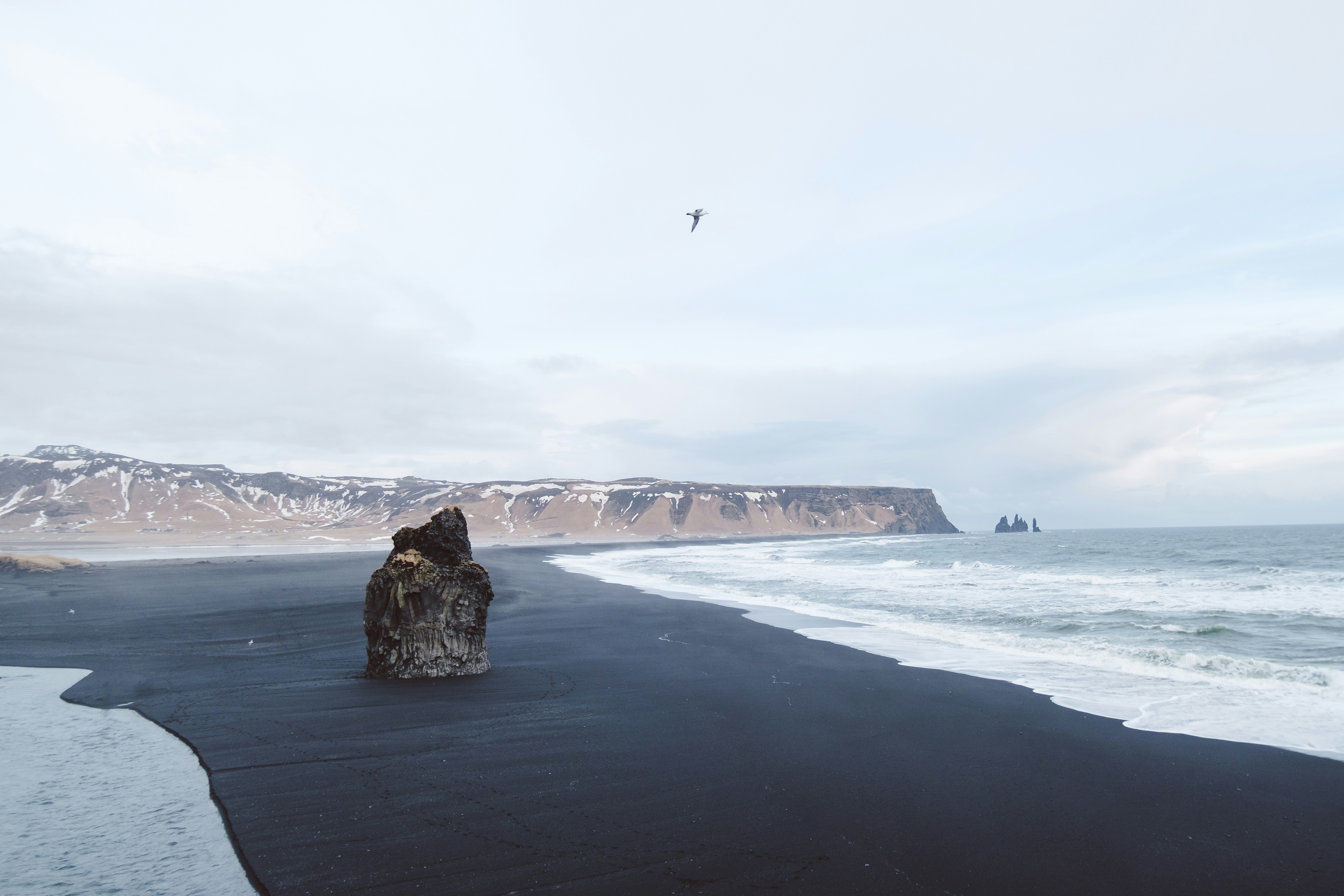 a black sand beach with a bird flying over it, 