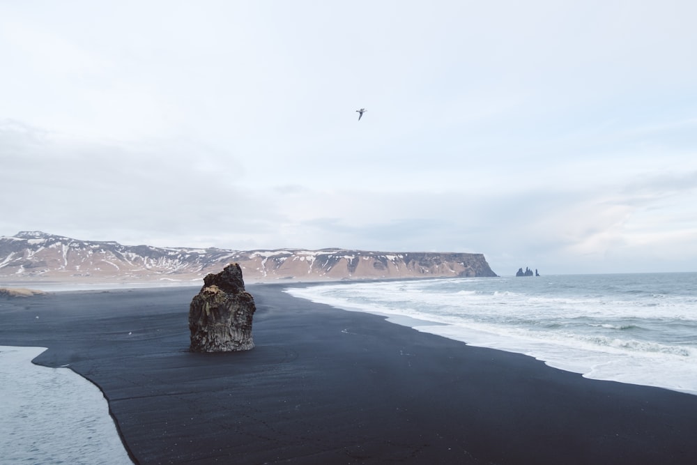 a black sand beach with a bird flying over it
