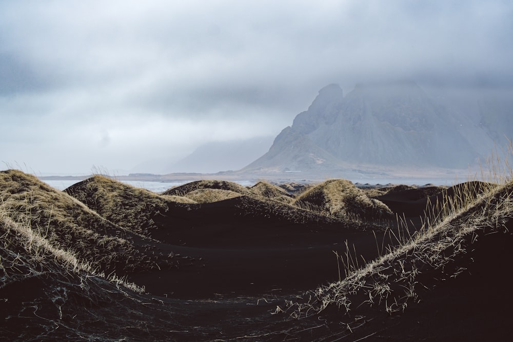 a field with a mountain in the background