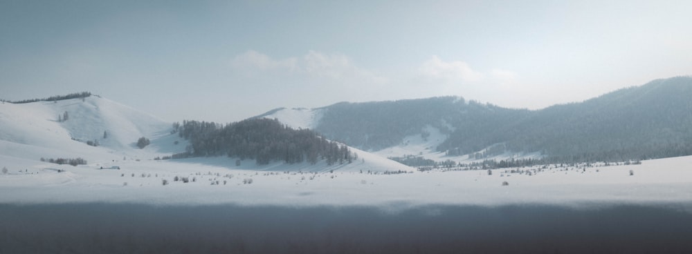 a snow covered mountain range with trees in the foreground