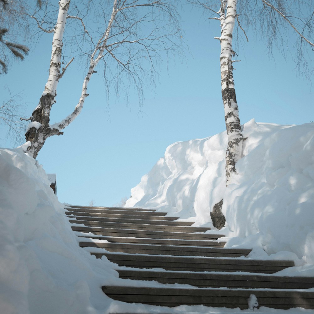 a set of steps that are covered in snow