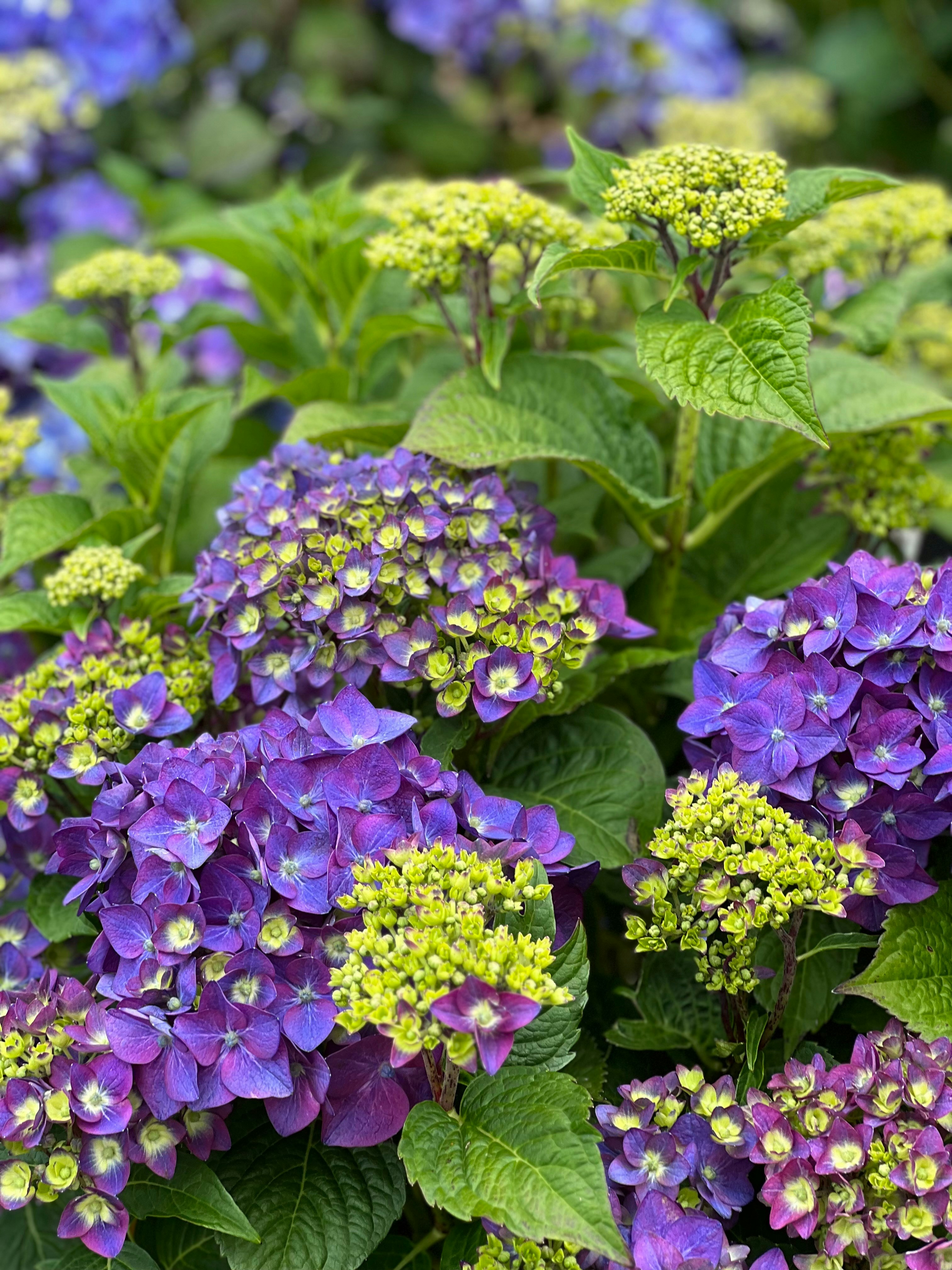 Photo by koreyzimmerman