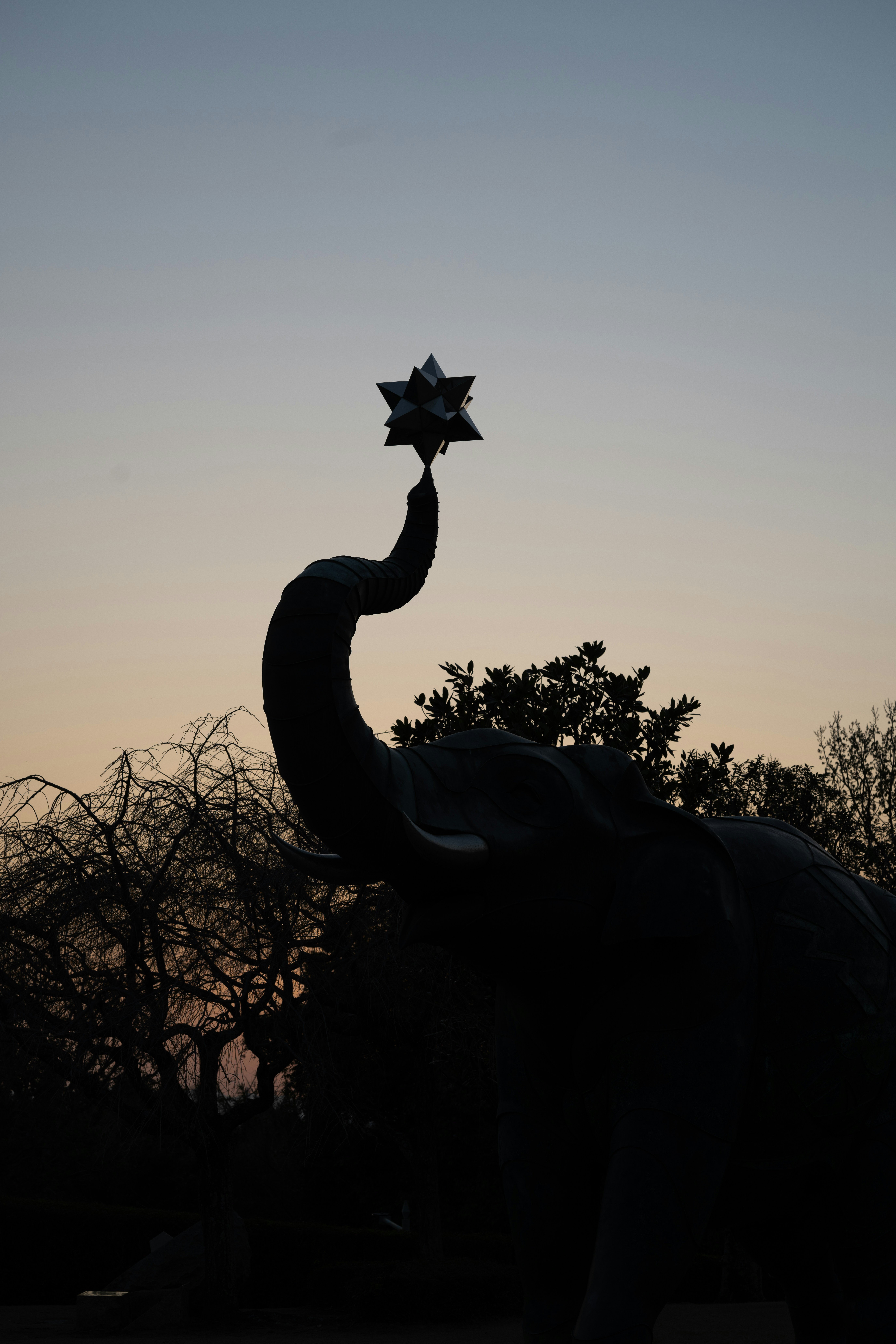 Un elefante sosteniendo una estrella en su trompa foto – Imagen de Retrato  gratuita en Unsplash, image size:3000x4500