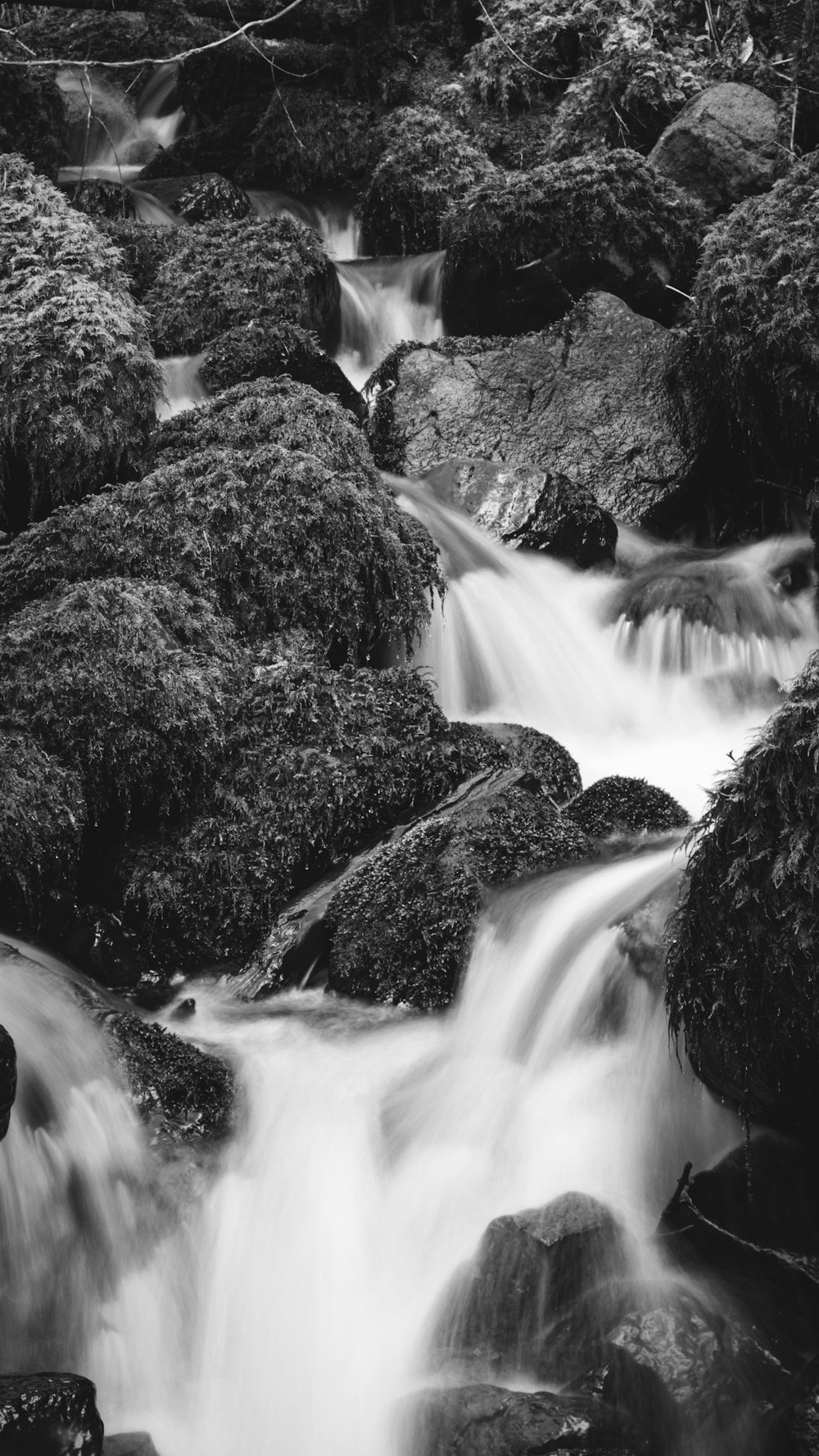 a black and white photo of a stream