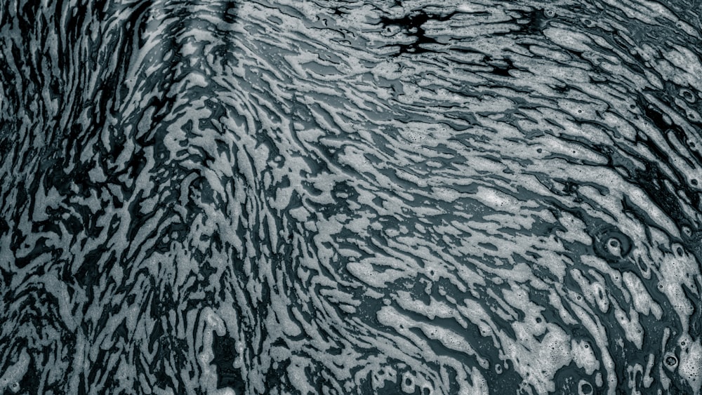 a black and white photo of a bird's eye view