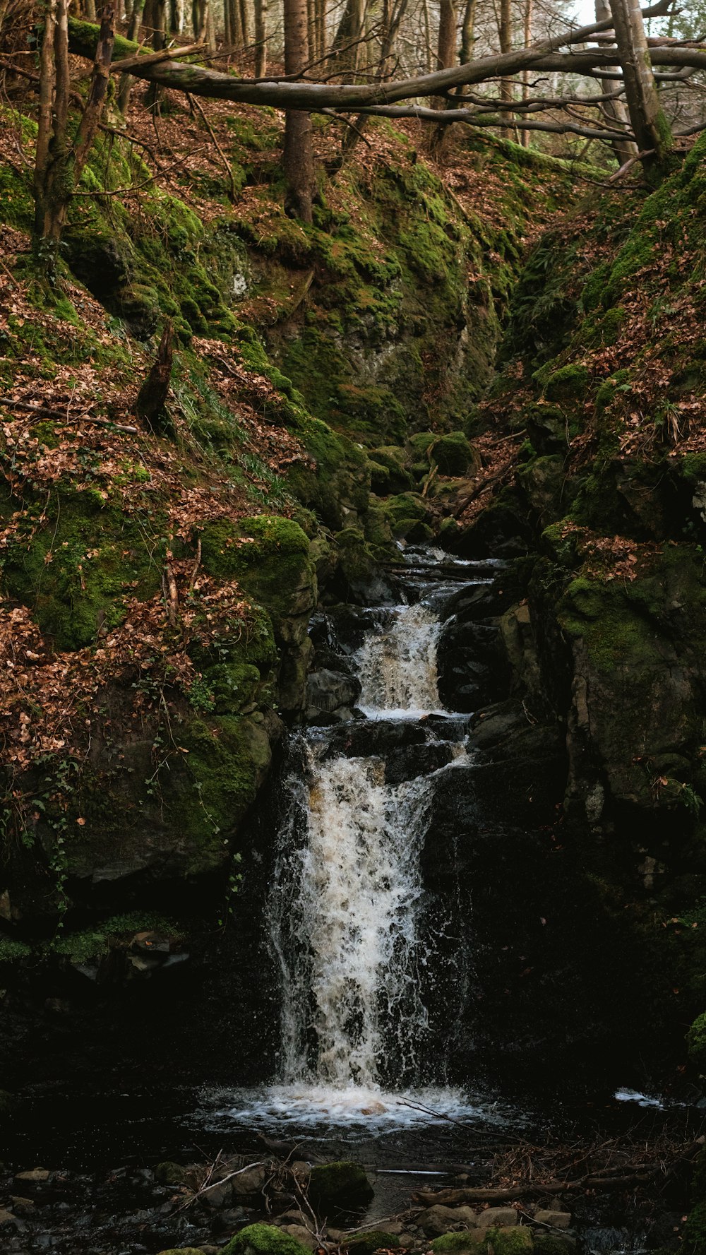 a small waterfall in the middle of a forest