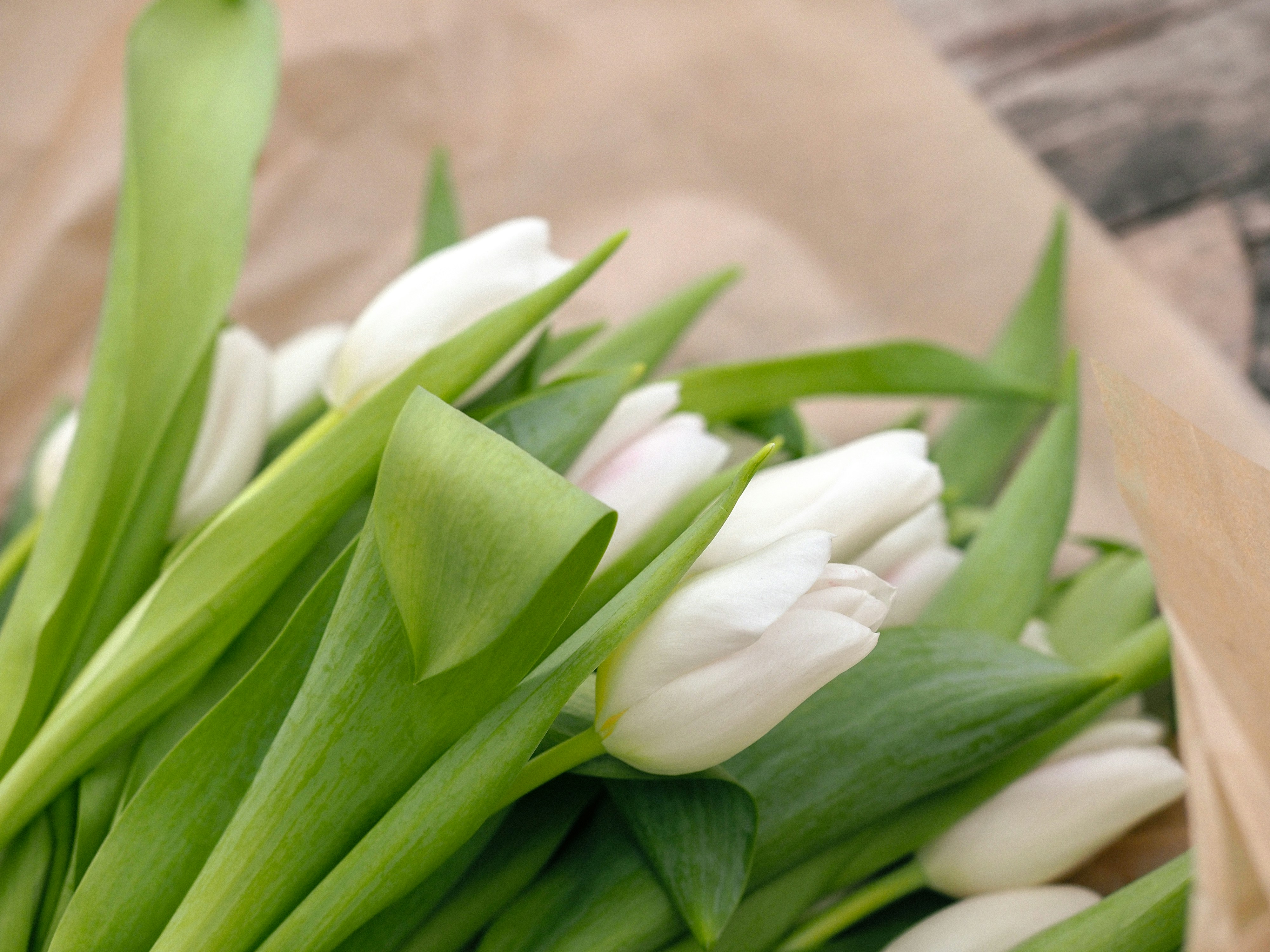 Photo by zahorulko__alina